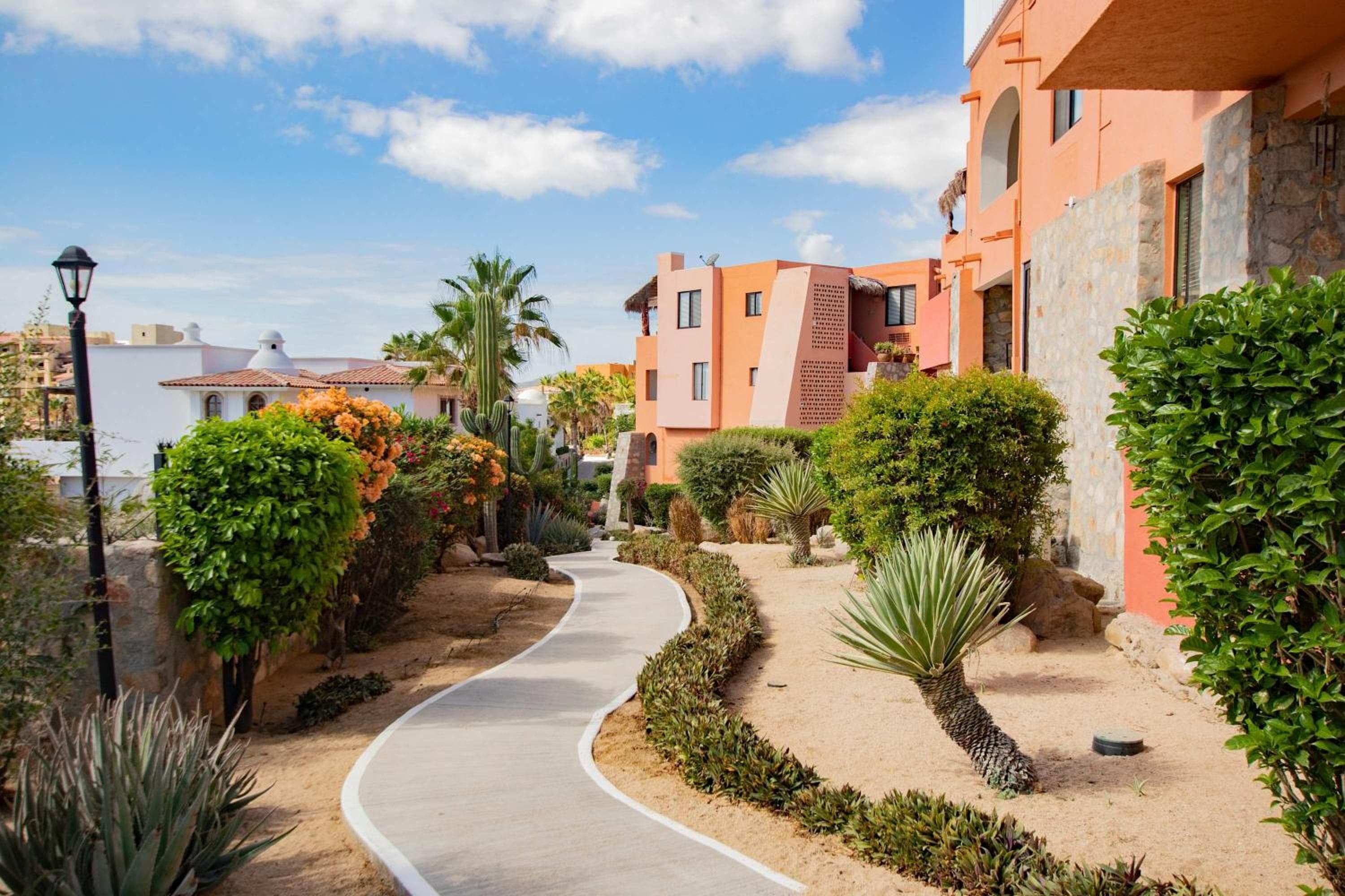 Cabo Cottage Authentic Mexican Design Overlooking The Beach — 19