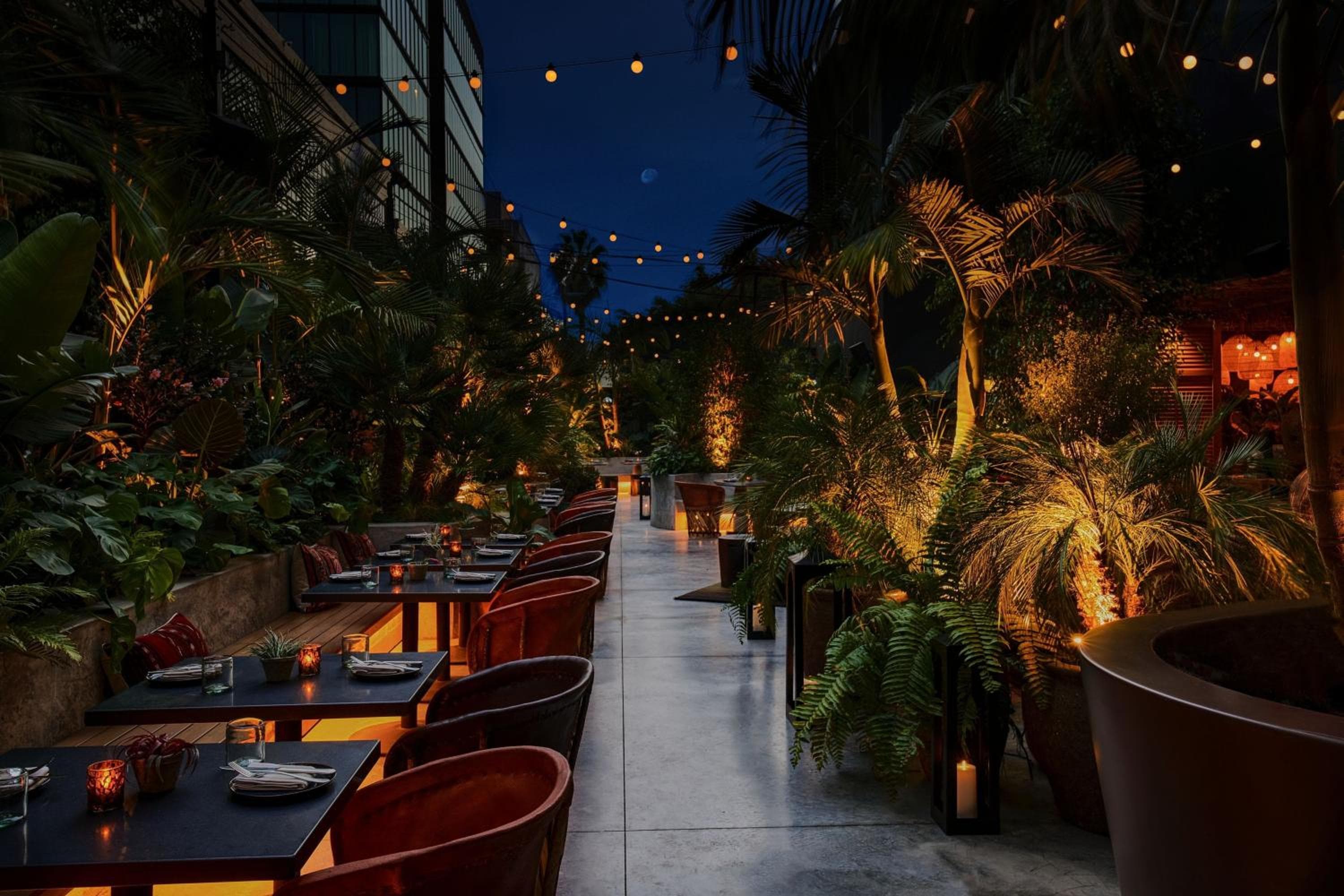 Tommie Hollywood, parte de Jdv by Hyatt — 23