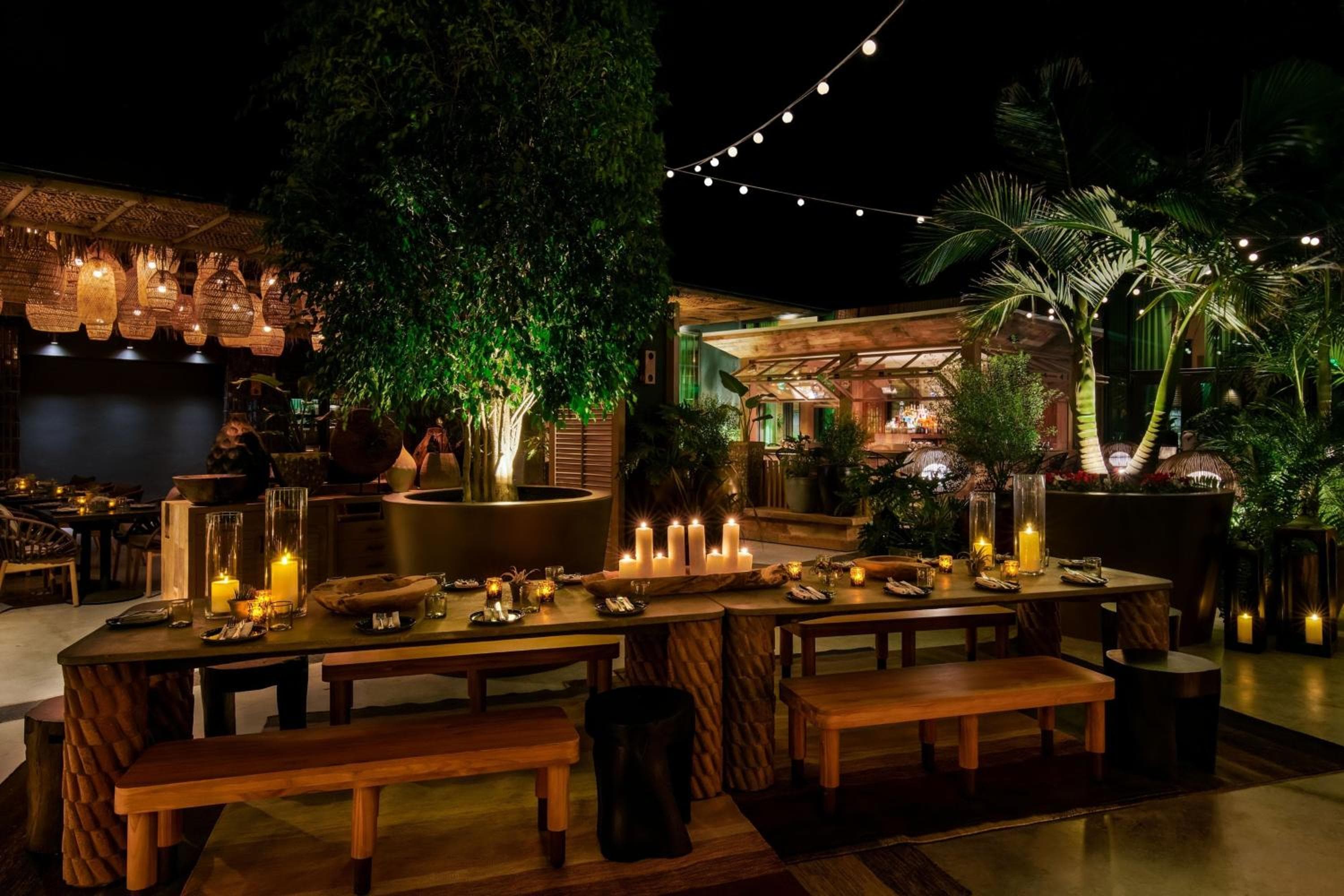 Tommie Hollywood, parte de Jdv by Hyatt — 18