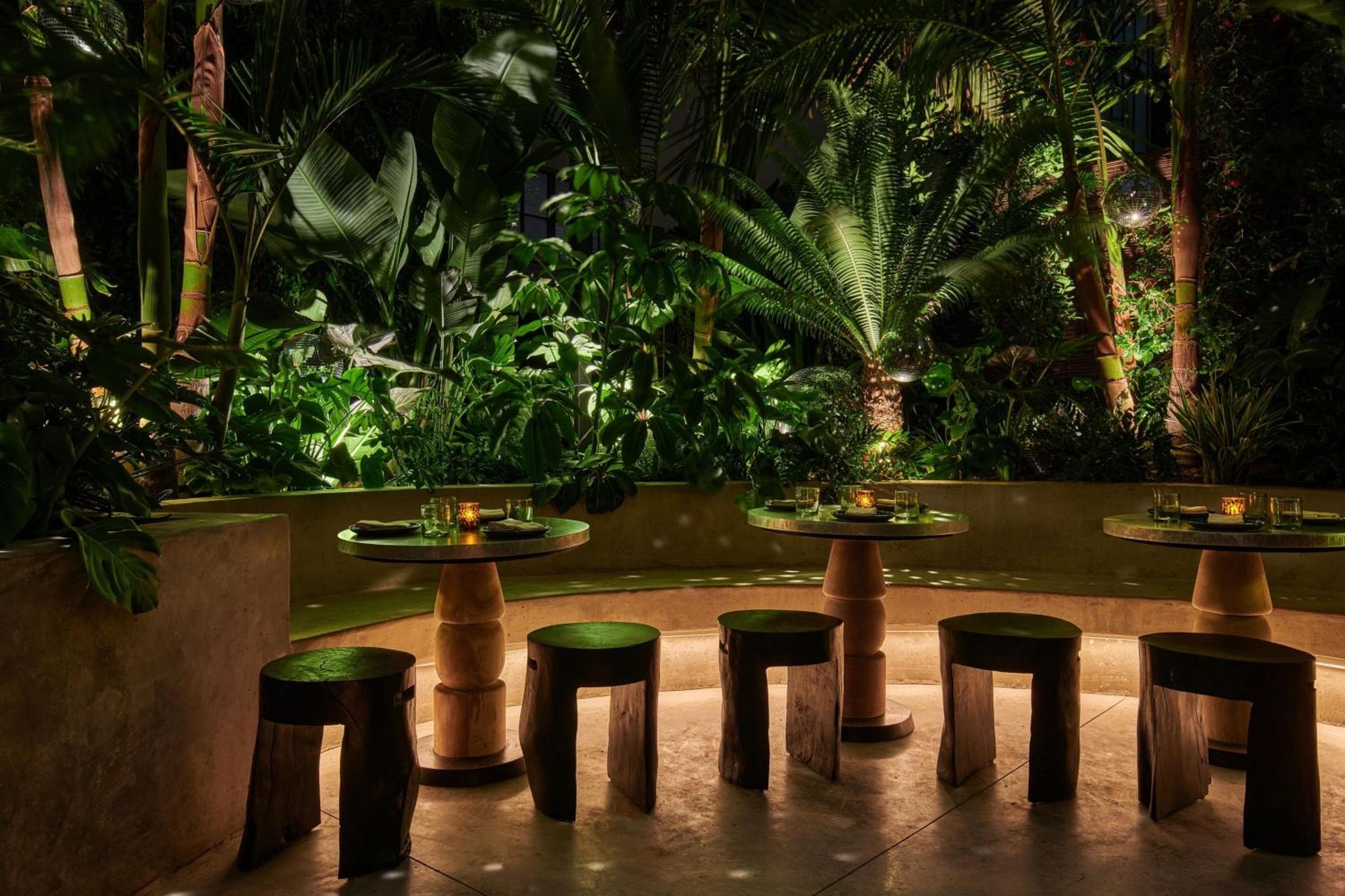Tommie Hollywood, parte de Jdv by Hyatt — 3