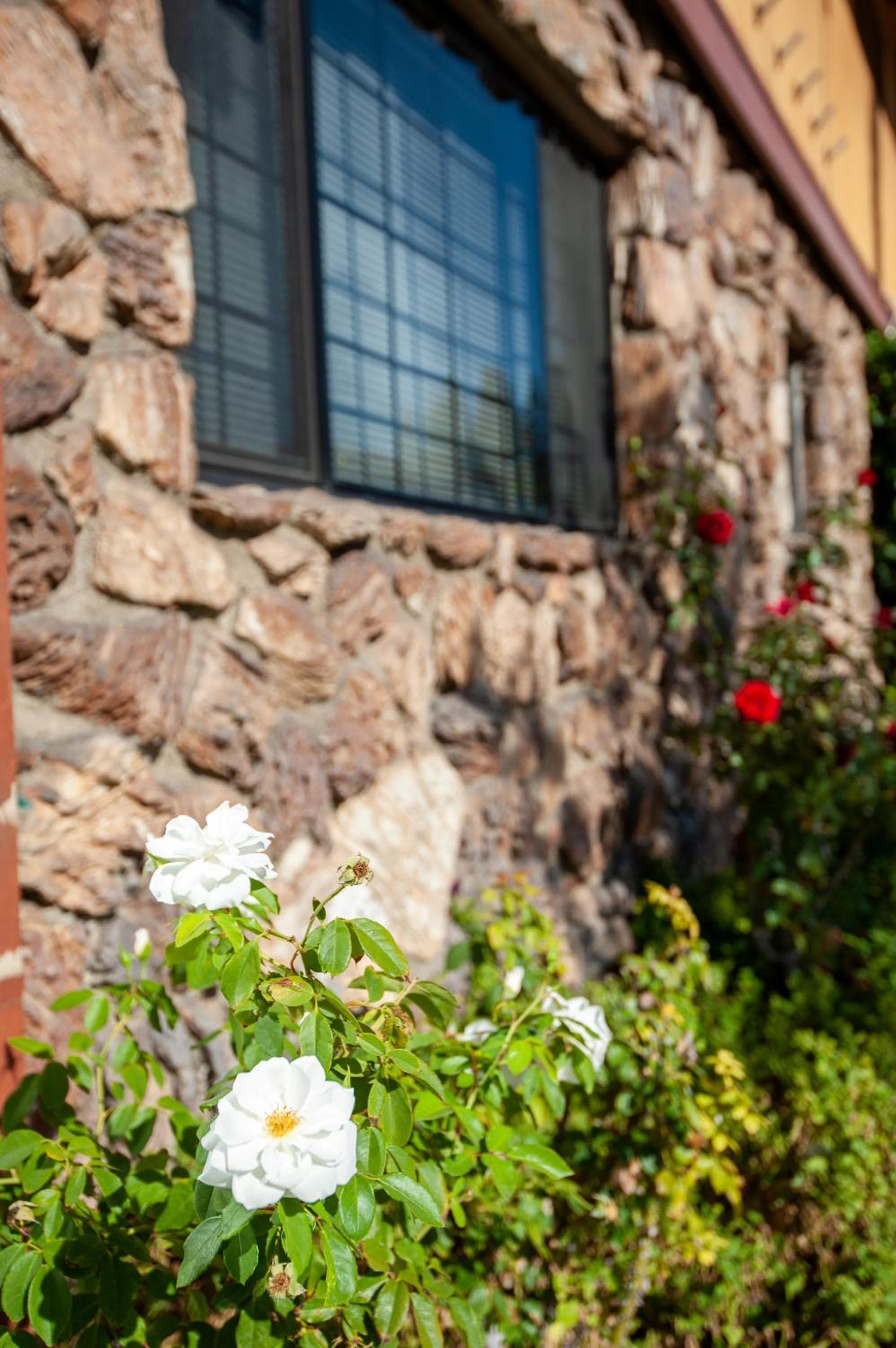 Studio City Court Yard Hotel — 5
