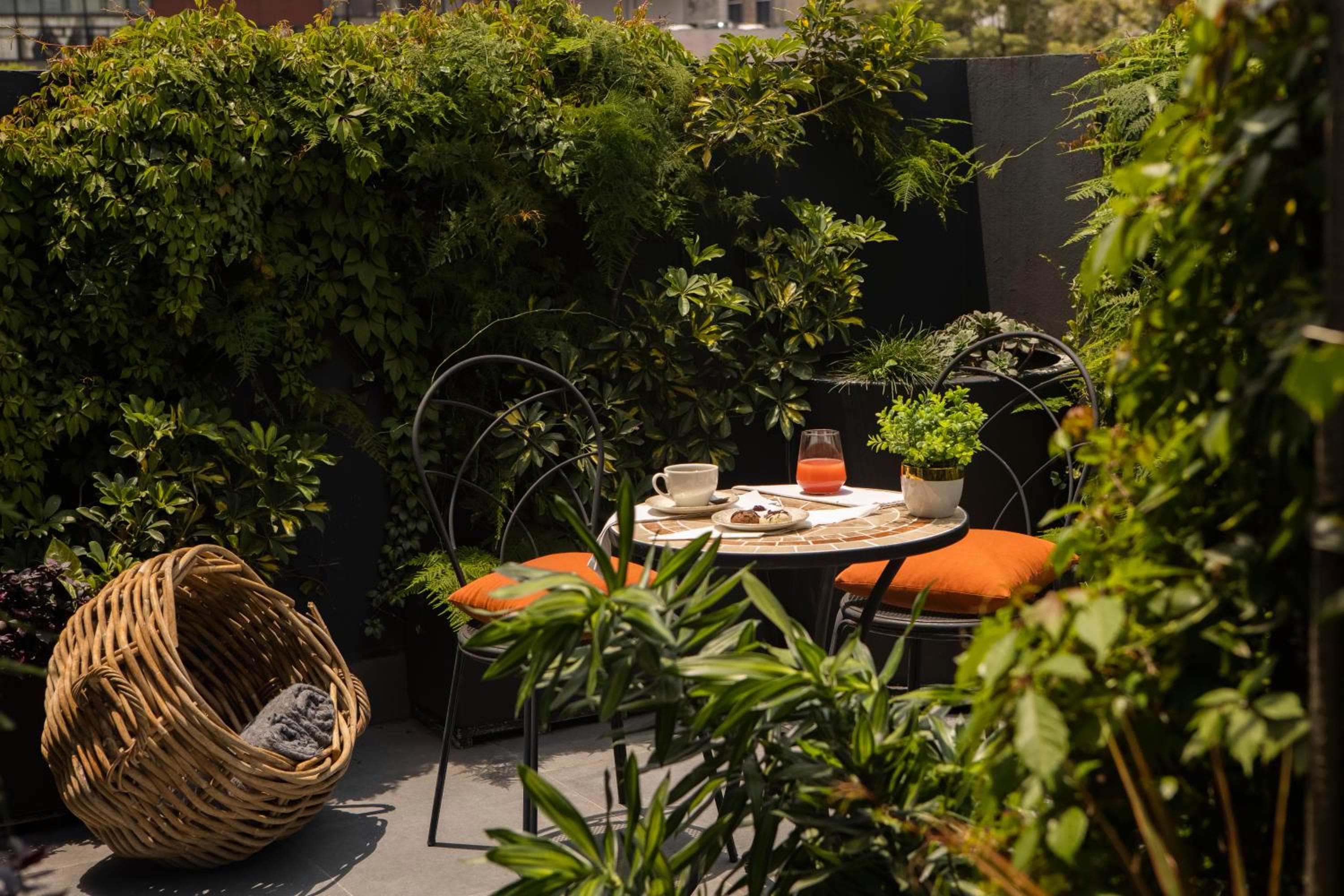 Reforma Guest House — 16
