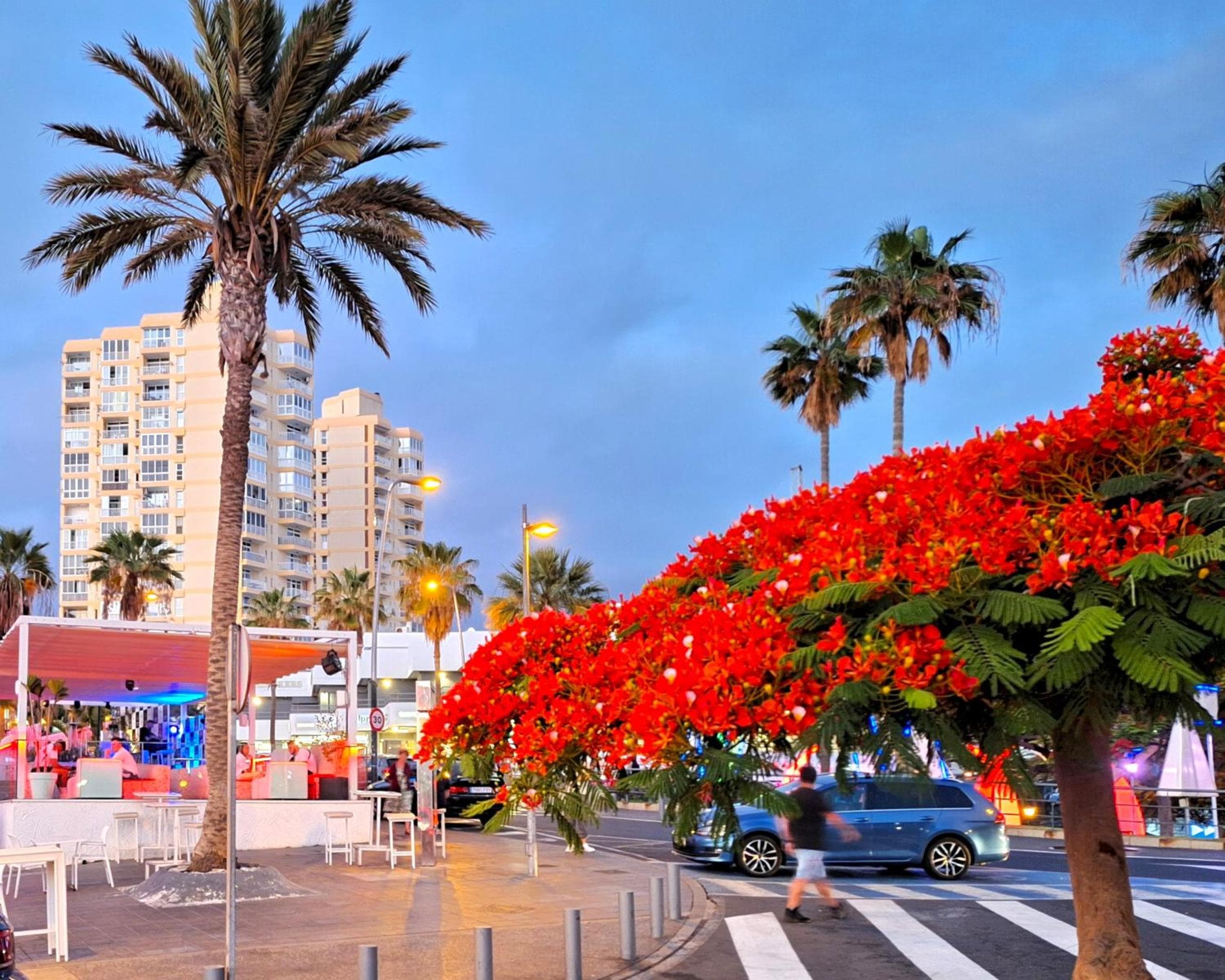Las Americas Ocean Panorama — 5