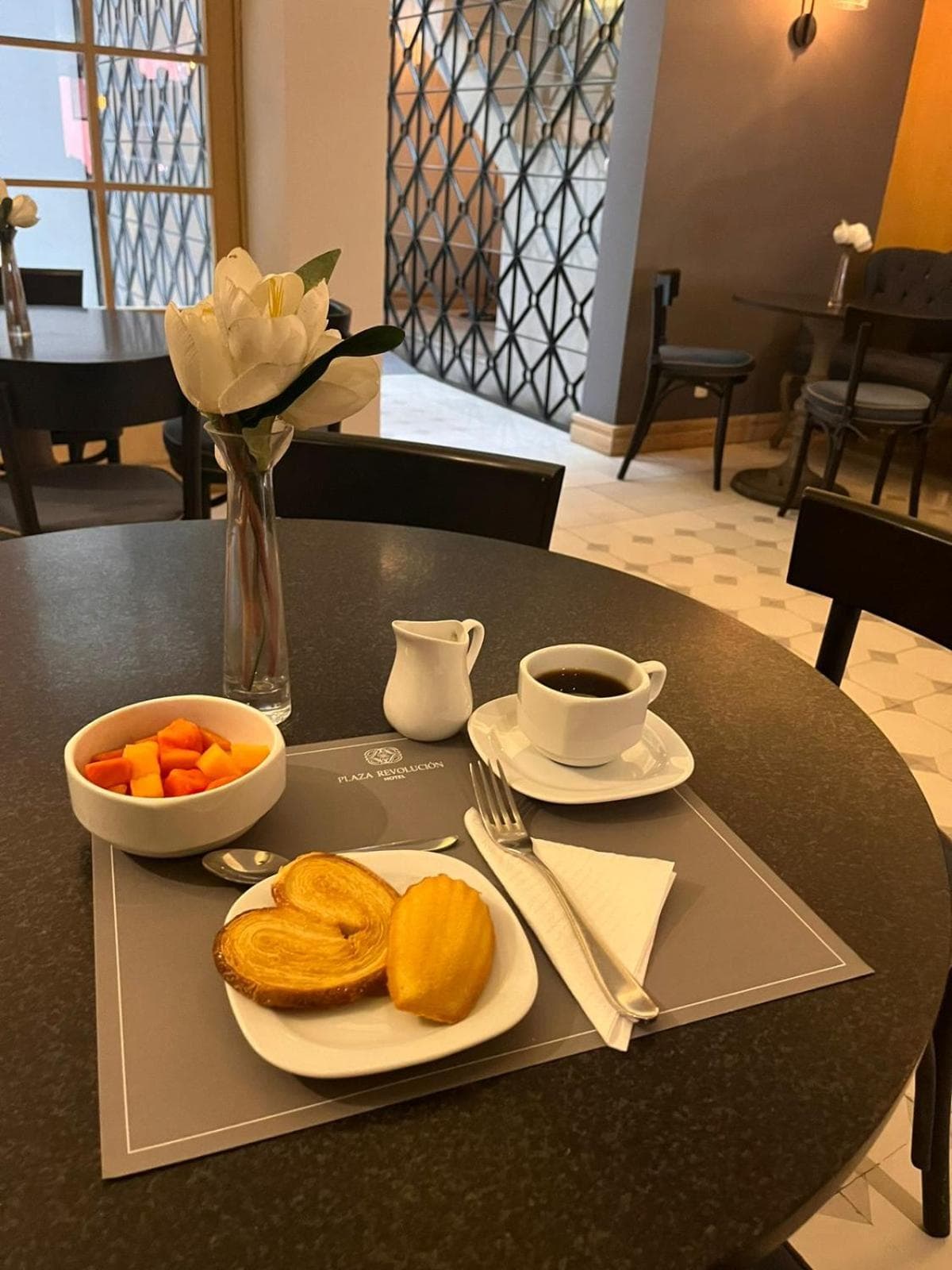 Hotel Plaza Revolución — 30