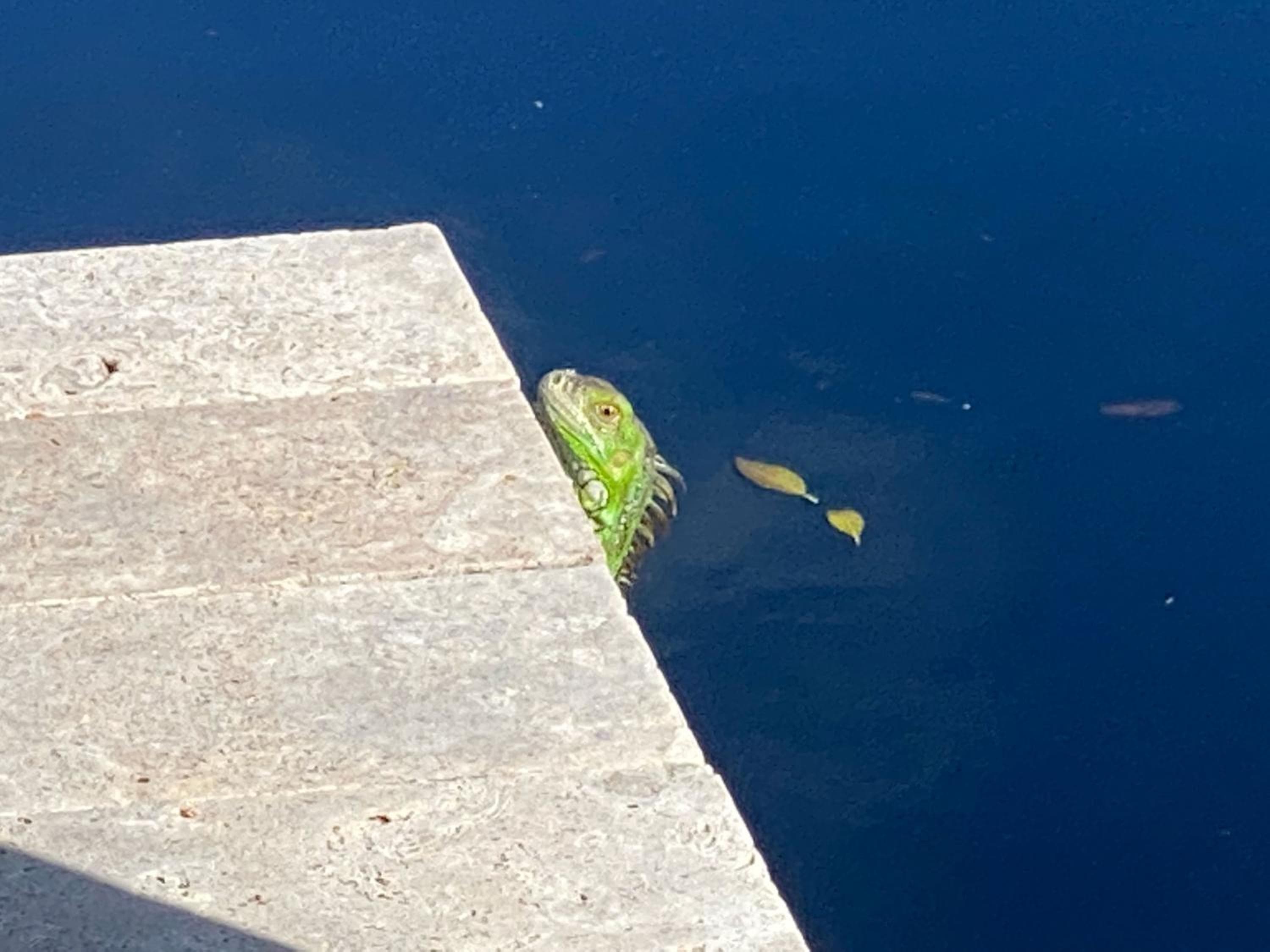 Tarpon Harbour 2 - Residenza sul lungomare vicino alla piscina, alla spiaggia, al centro di Las Olas — 8