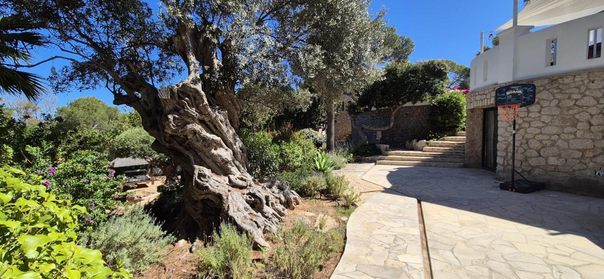 Cala Vadella — 17