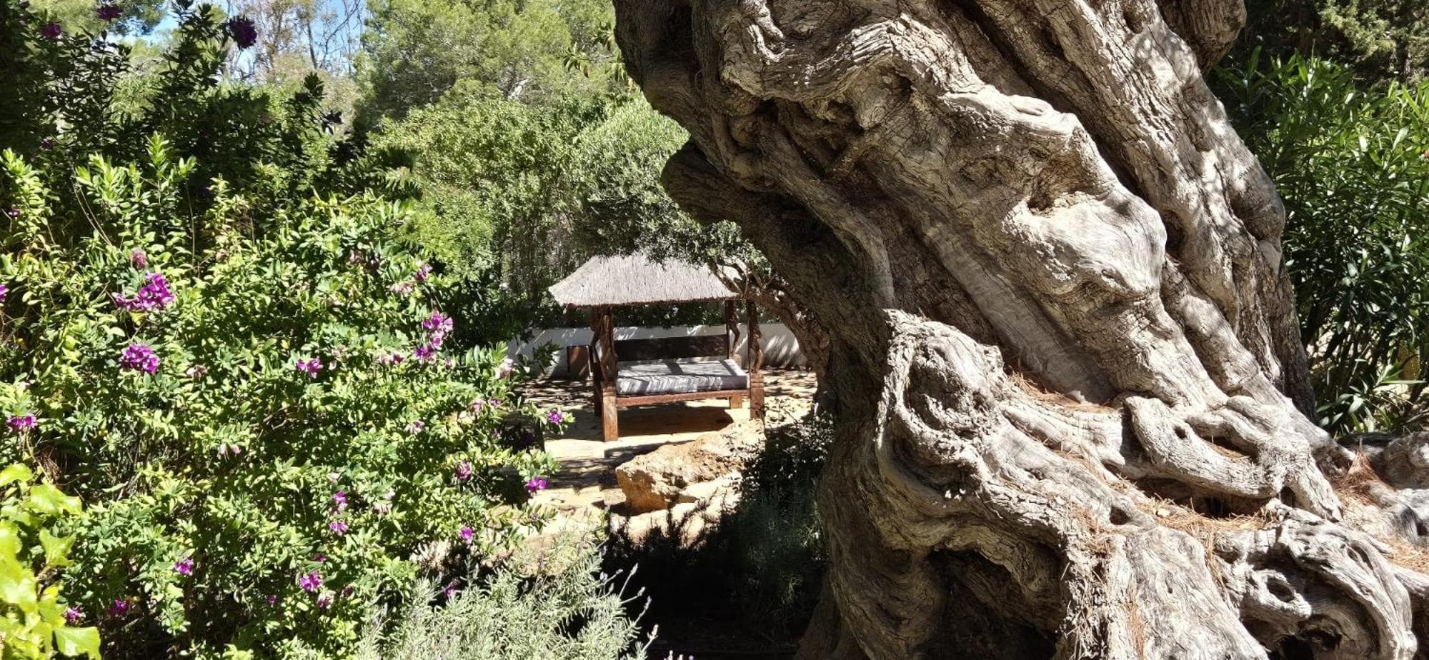 Cala Vadella — 4