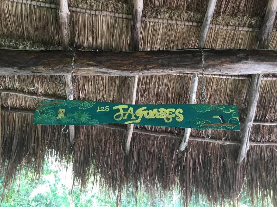 Rancho Los Jaguares — 3
