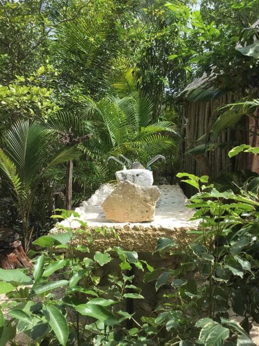 Rancho Los Jaguares — 17