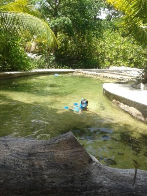 Rancho Los Jaguares — 10