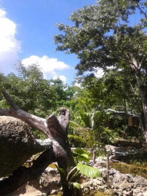 Rancho Los Jaguares — 28