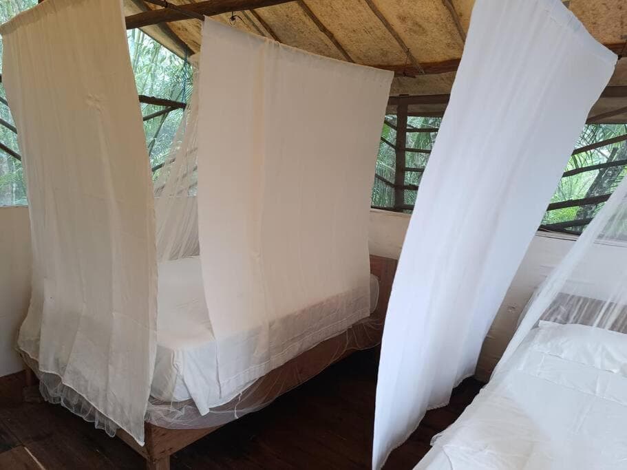 Cabaña Zapote en Rancho Los Jaguares Jungle Retreat Tulum — 28