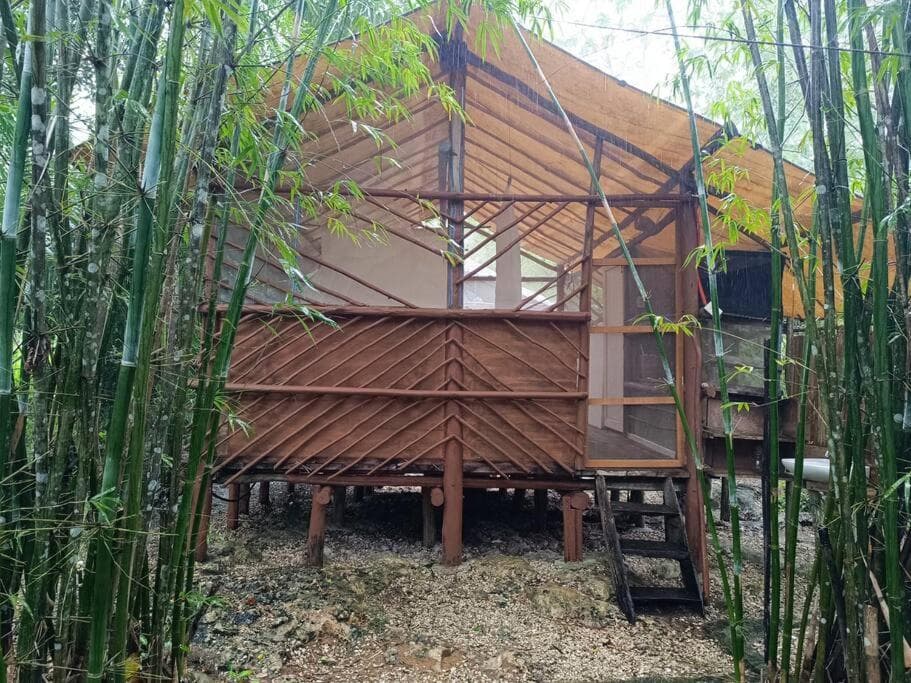 Cabaña Zapote en Rancho Los Jaguares Jungle Retreat Tulum — 26