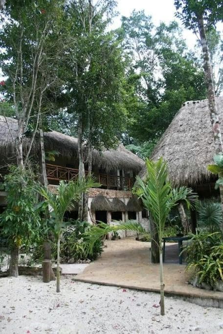 Cabaña Zapote en Rancho Los Jaguares Jungle Retreat Tulum — 16