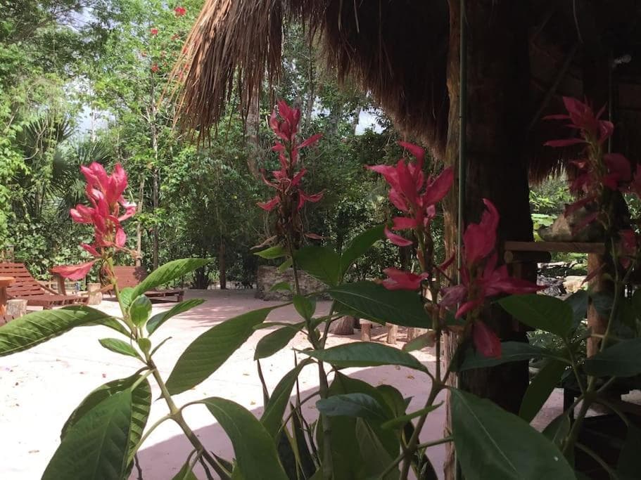 Cabaña Zapote en Rancho Los Jaguares Jungle Retreat Tulum — 15