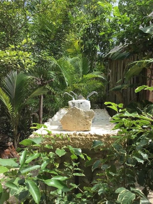 Cabaña Zapote en Rancho Los Jaguares Jungle Retreat Tulum — 13