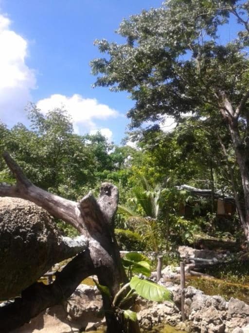 Cabaña Zapote en Rancho Los Jaguares Jungle Retreat Tulum — 11
