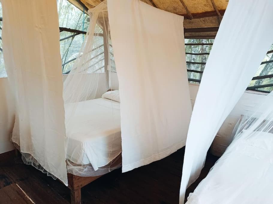 Cabaña Zapote en Rancho Los Jaguares Jungle Retreat Tulum — 5
