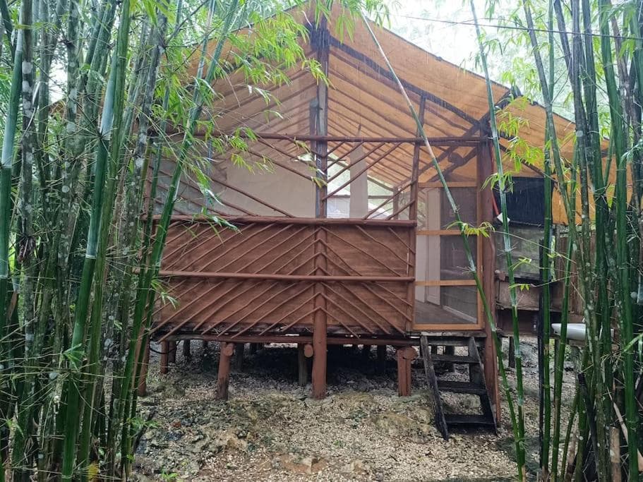 Cabaña Zapote en Rancho Los Jaguares Jungle Retreat Tulum — 1