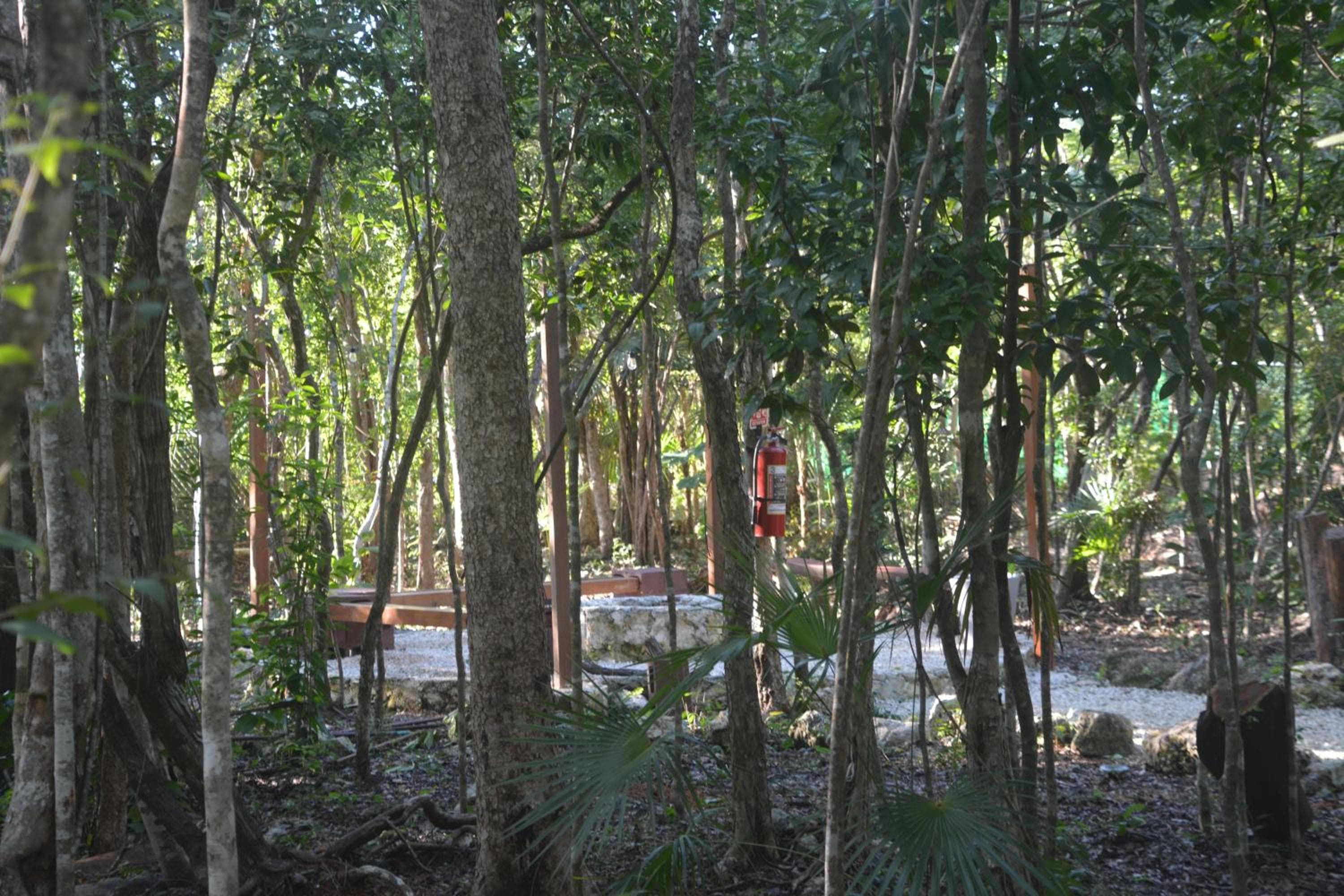 Glamping Mayan Glam — 1