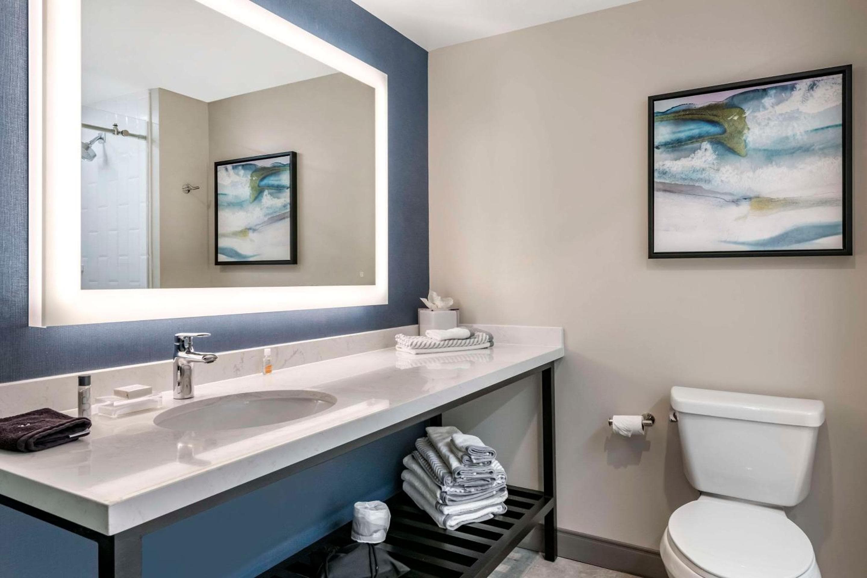 Cambria Hotel Orlando Airport — 29