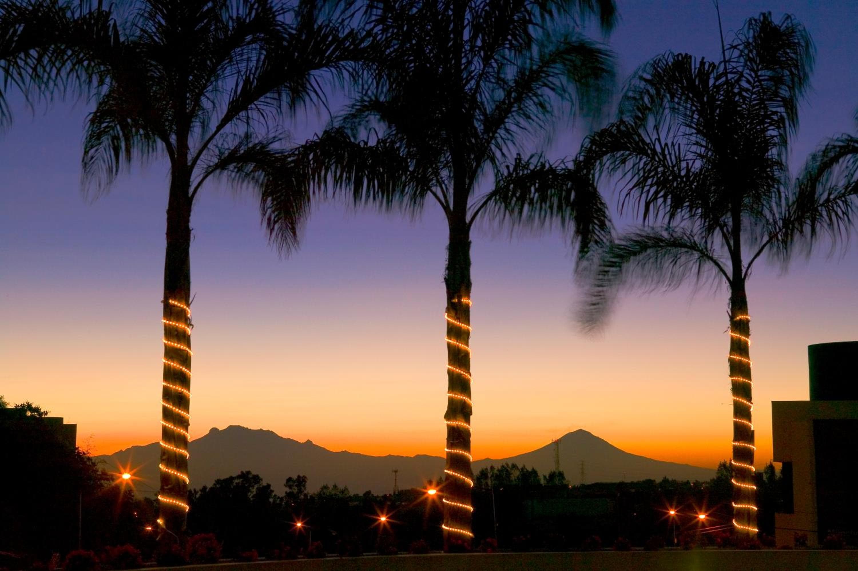 Novotel Ciudad de México Santa Fe — 12