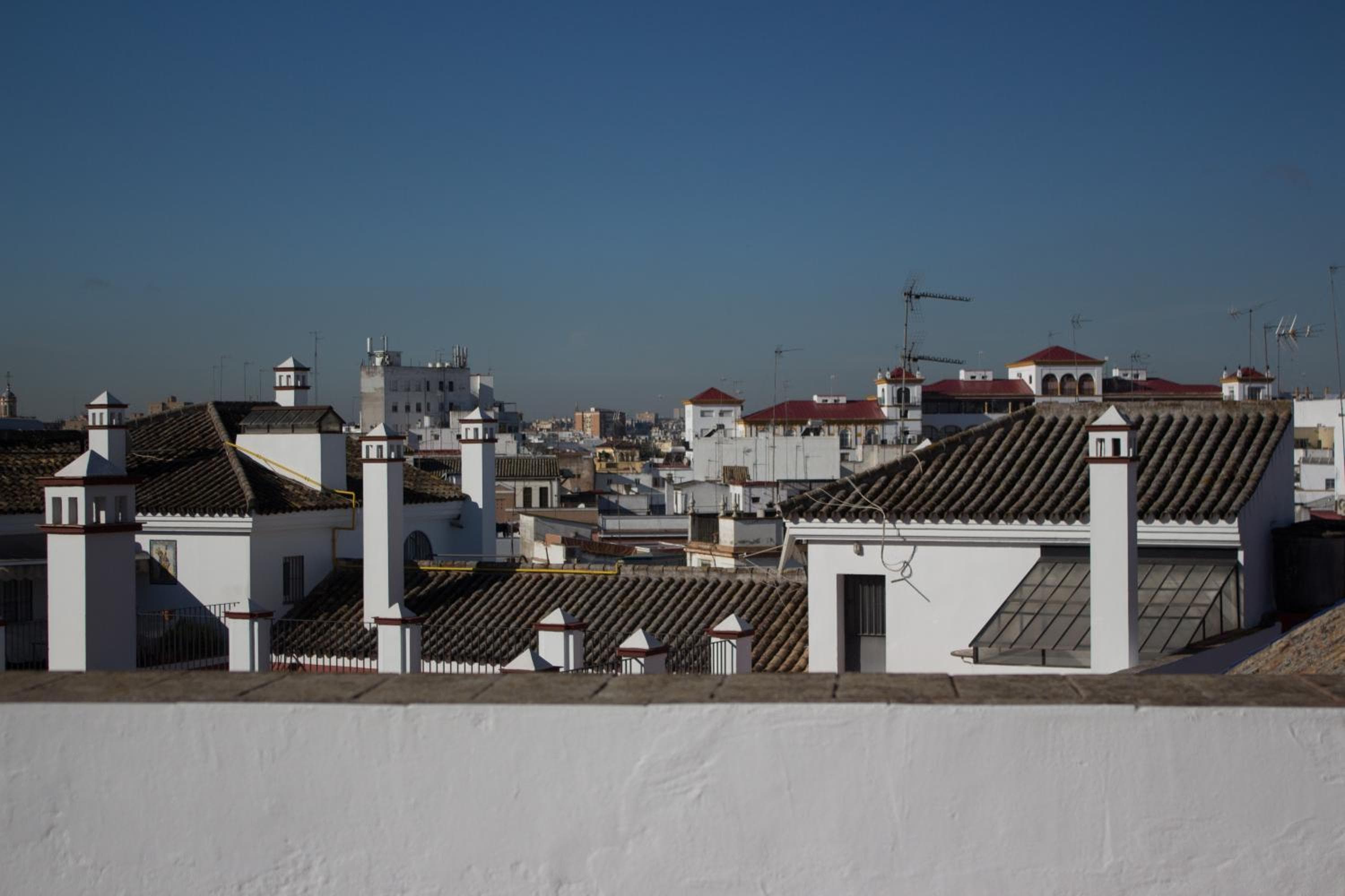 Schwarzer Schwan Hostel Sevilla — 12
