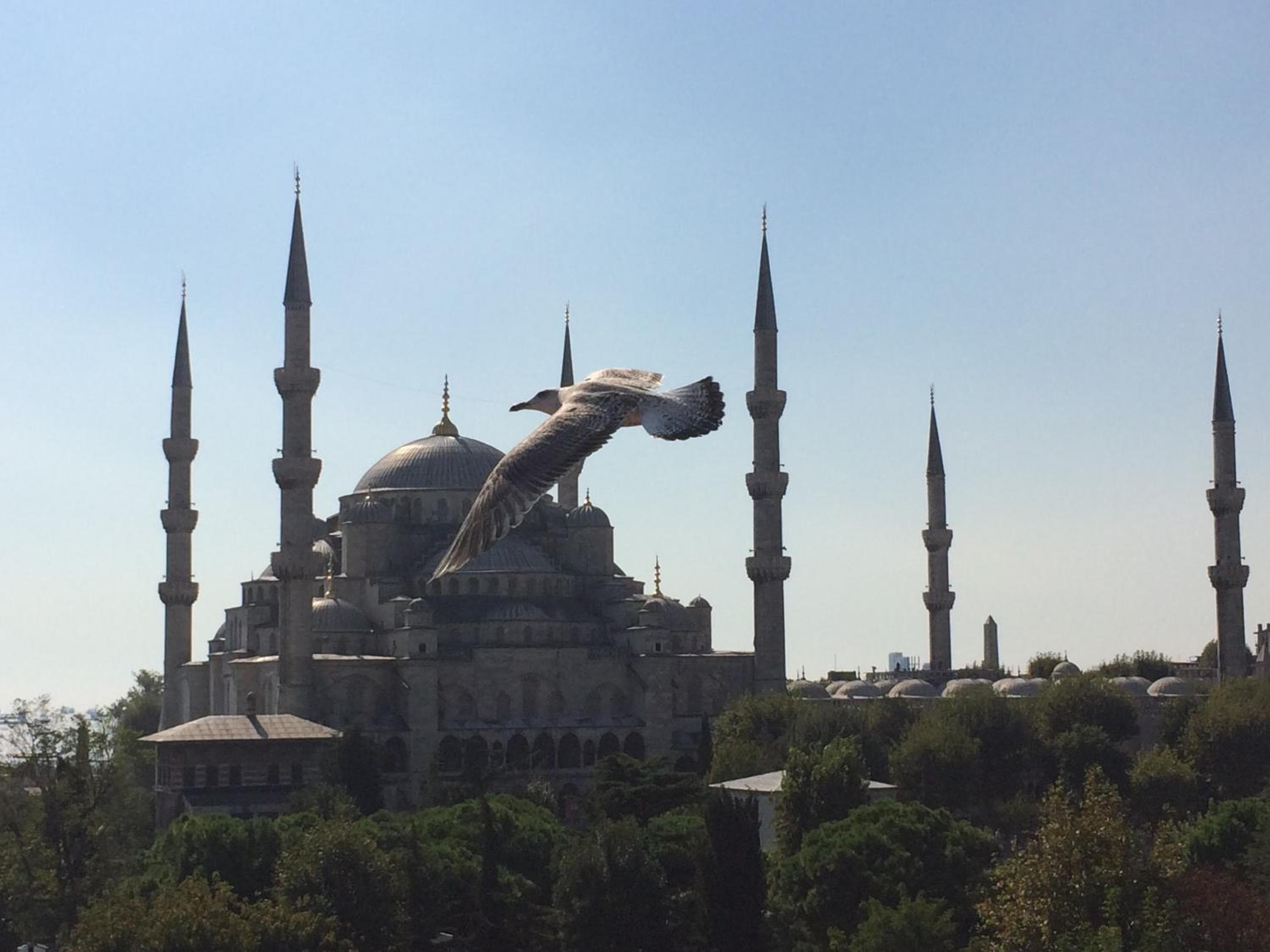 Kalyon Hotel Istanbul — 17