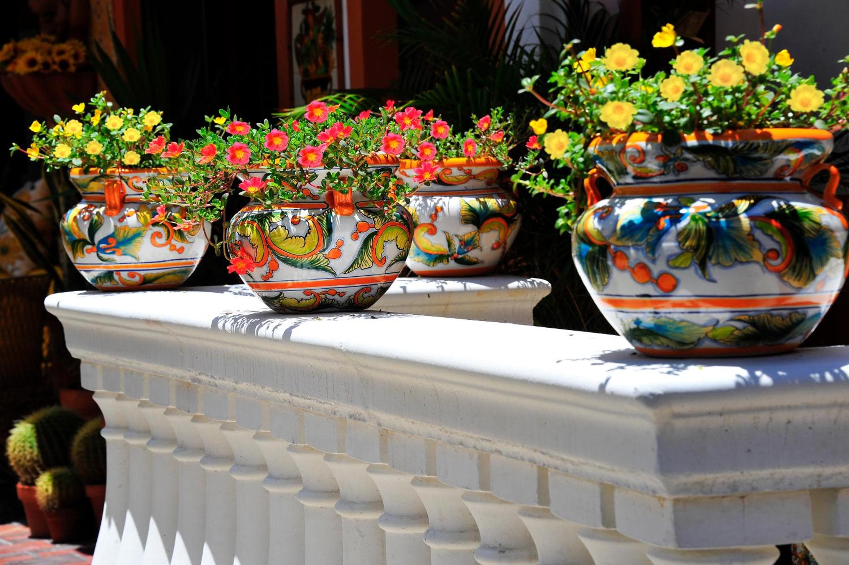 Blue Seas Courtyard — 24