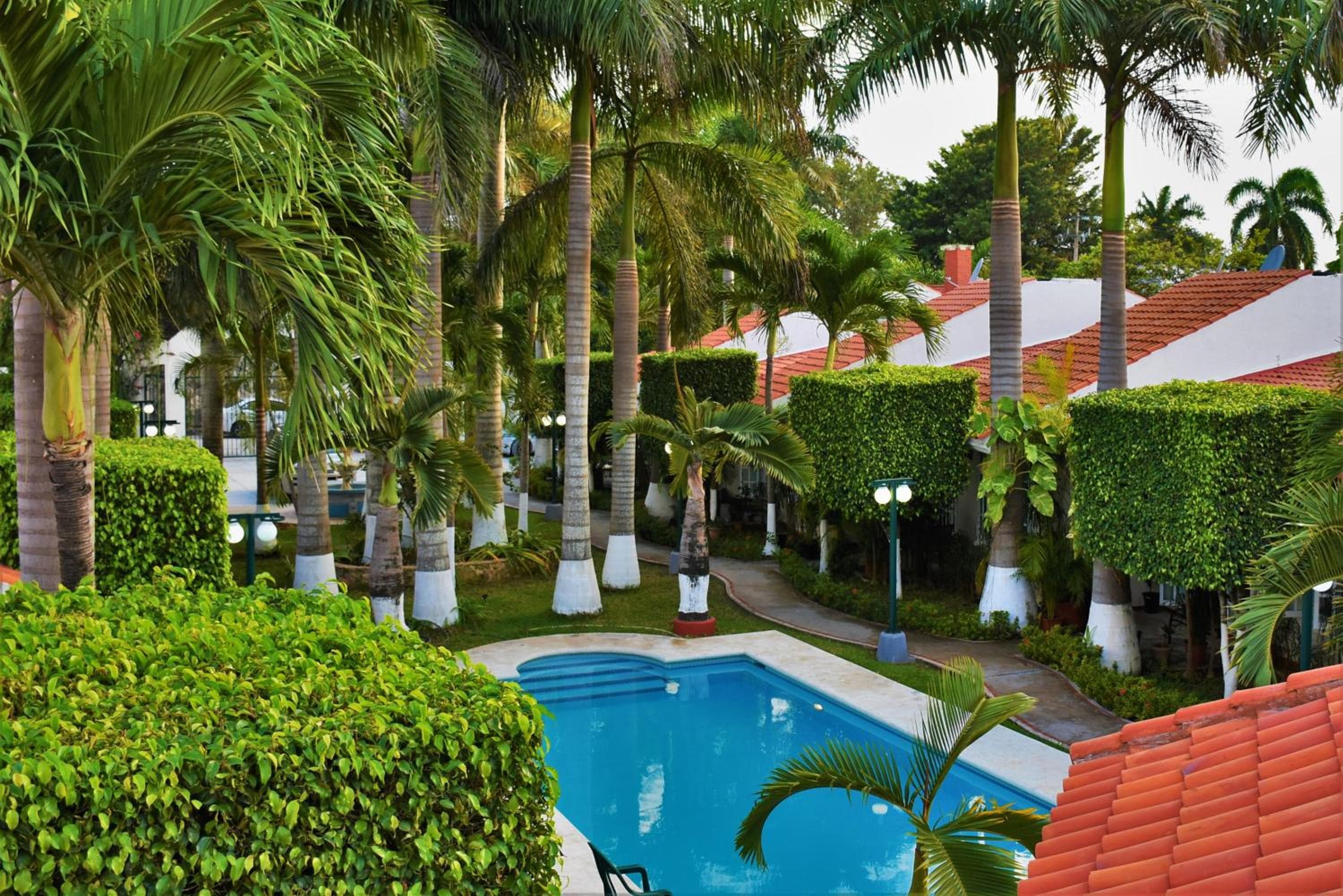 Tulipanes Cancun — 25