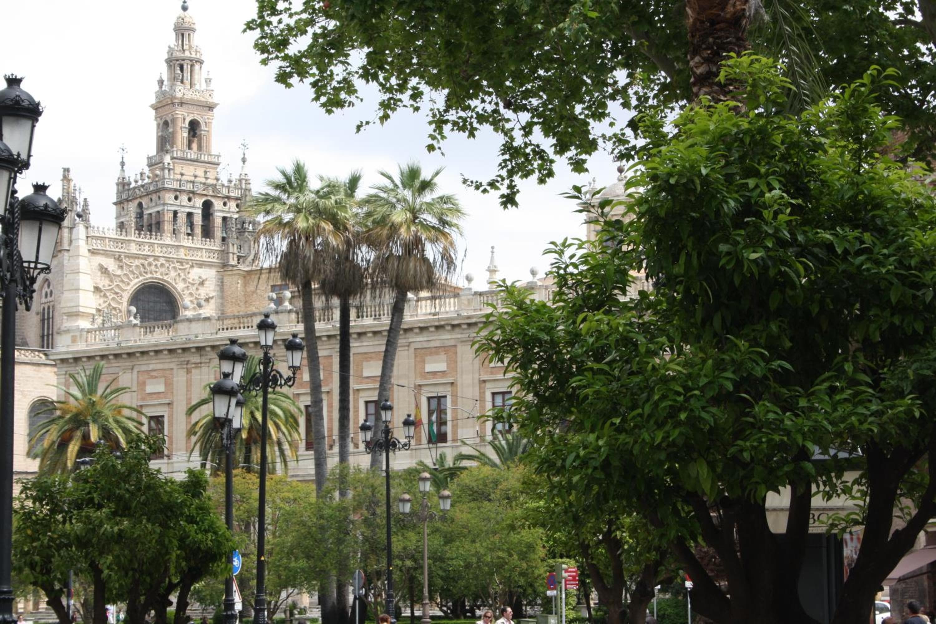 Appartamenti Avenida — 15