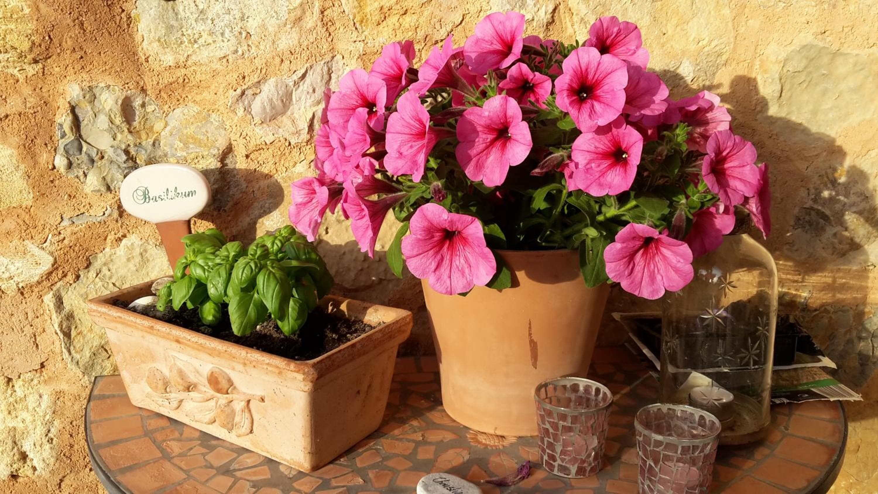 Finca Can Estades — 9