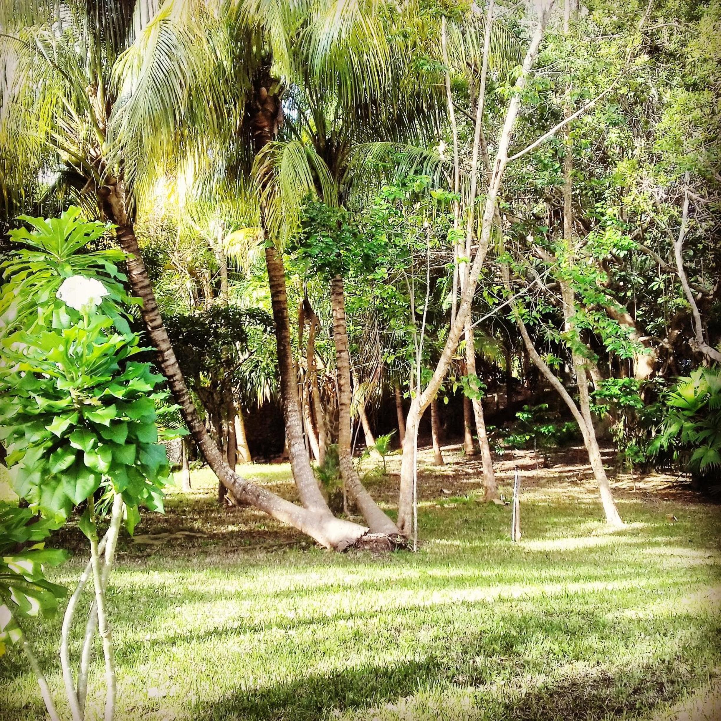 Casa Kin33 — 23