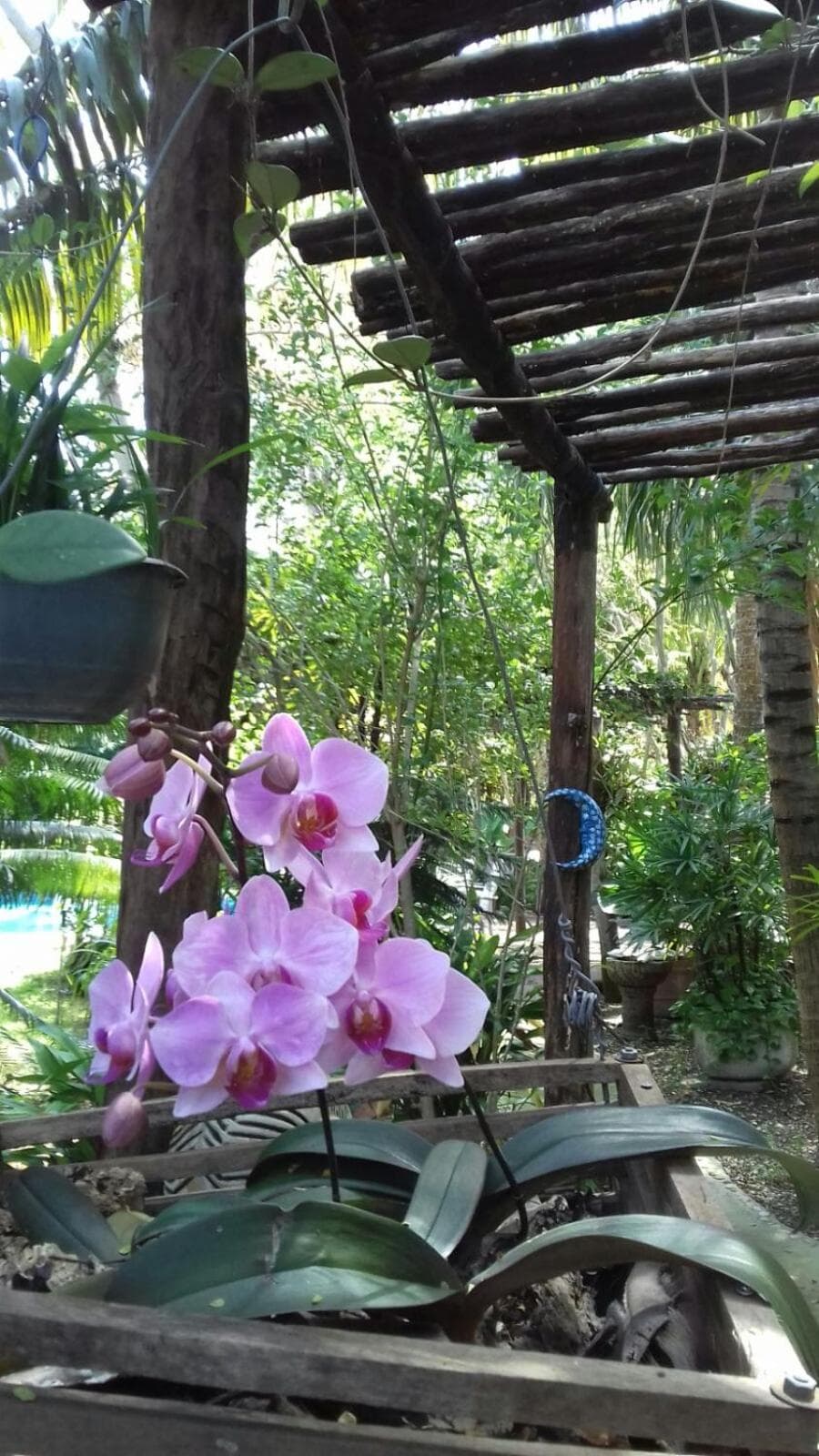 Casa Kin33 — 28