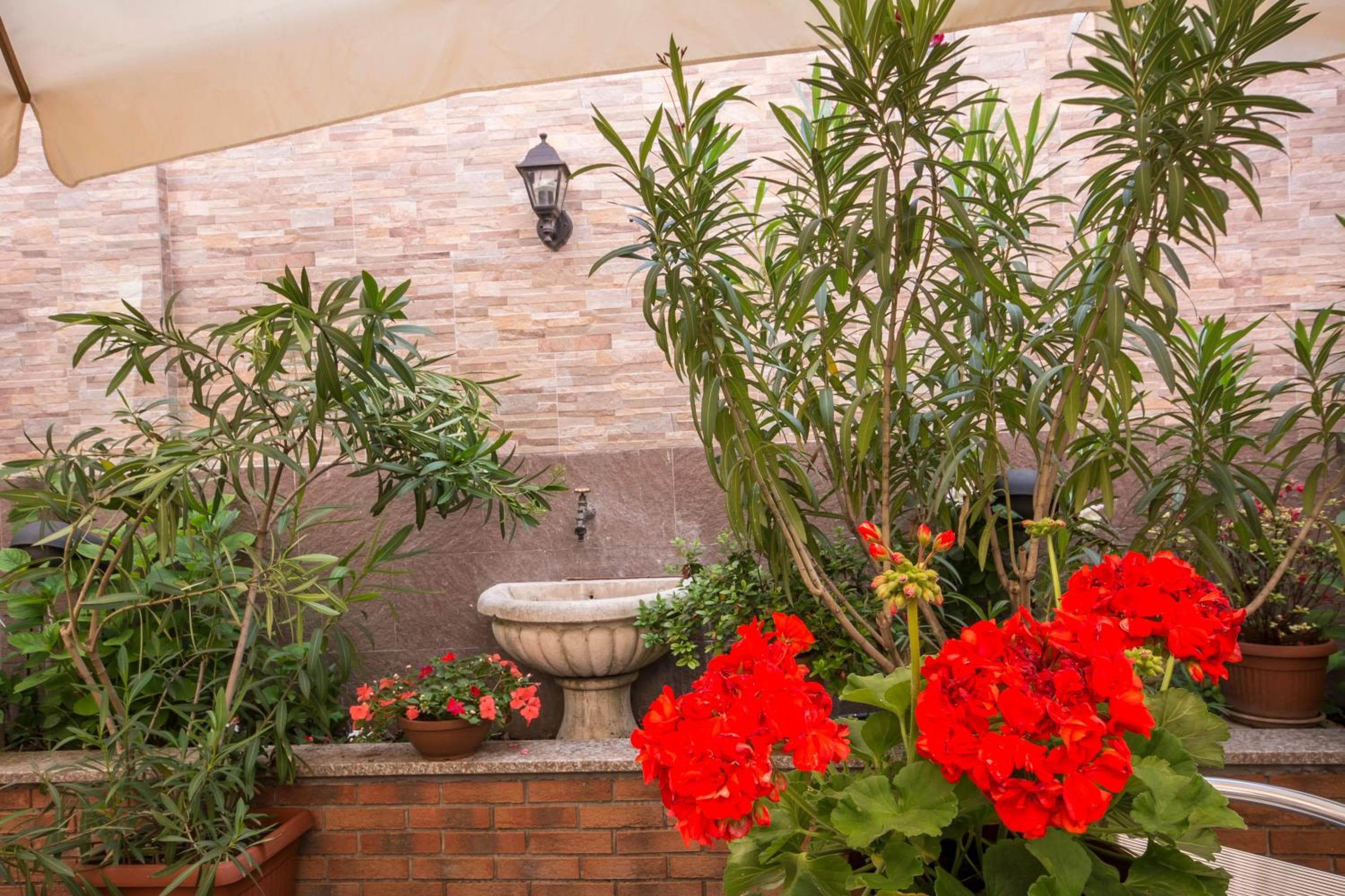 Hotel Vittoria — 18
