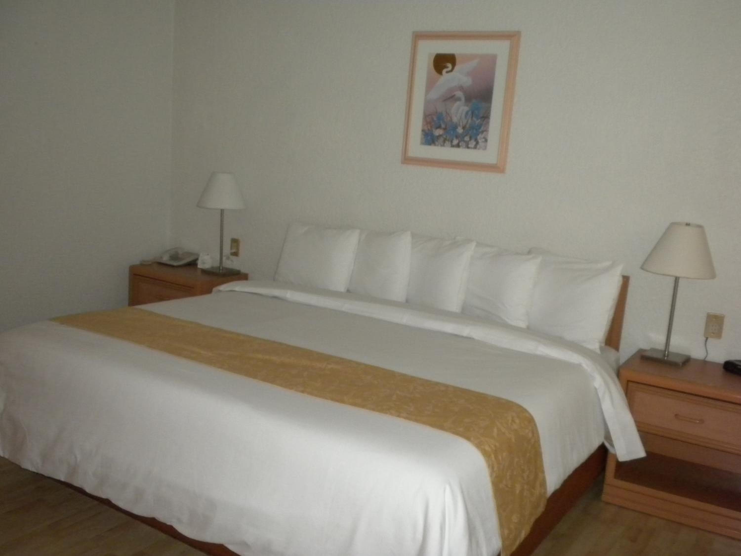 Hotel PF — 26