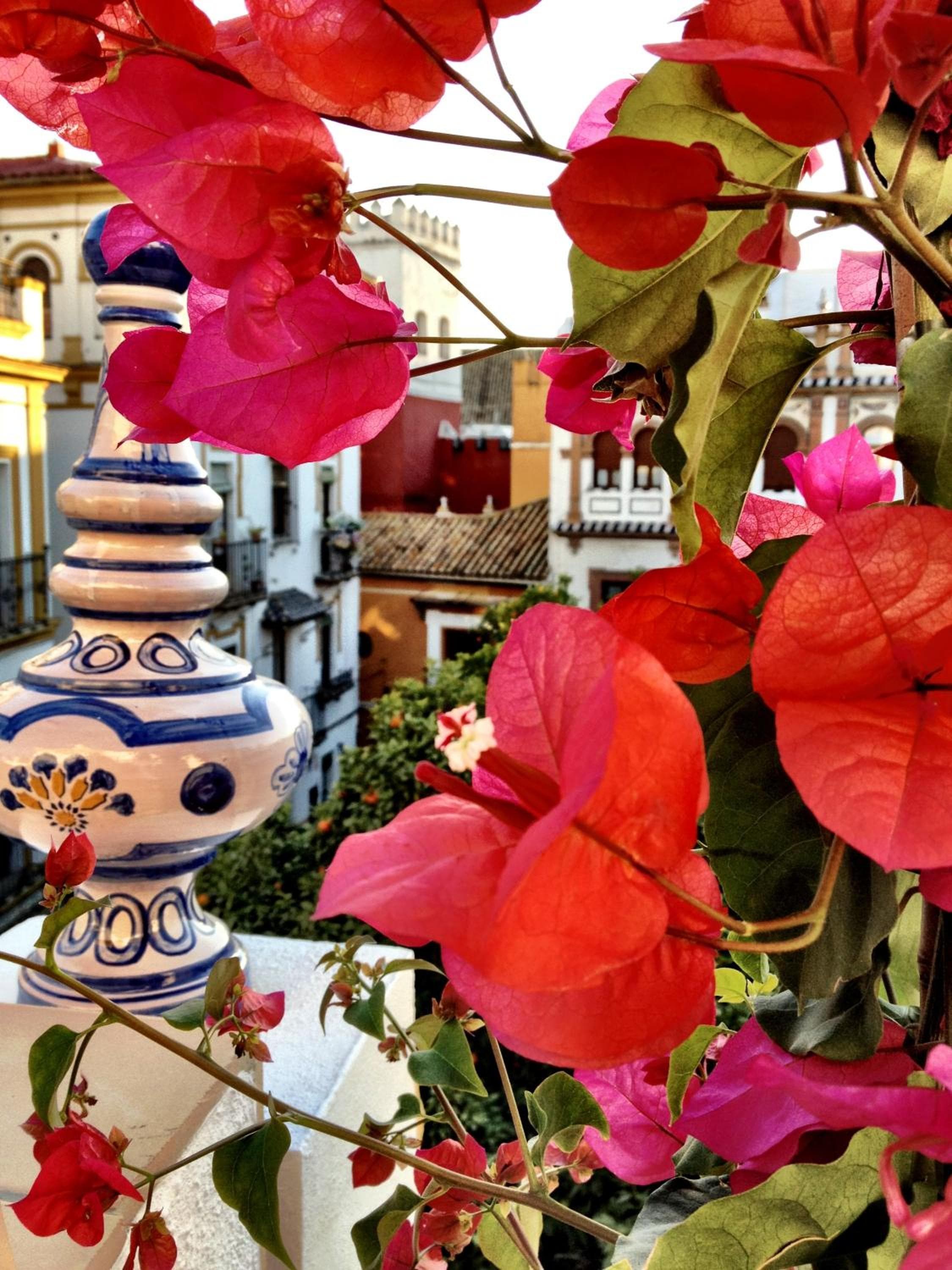 Hotel Boutique Elvira Plaza — 21