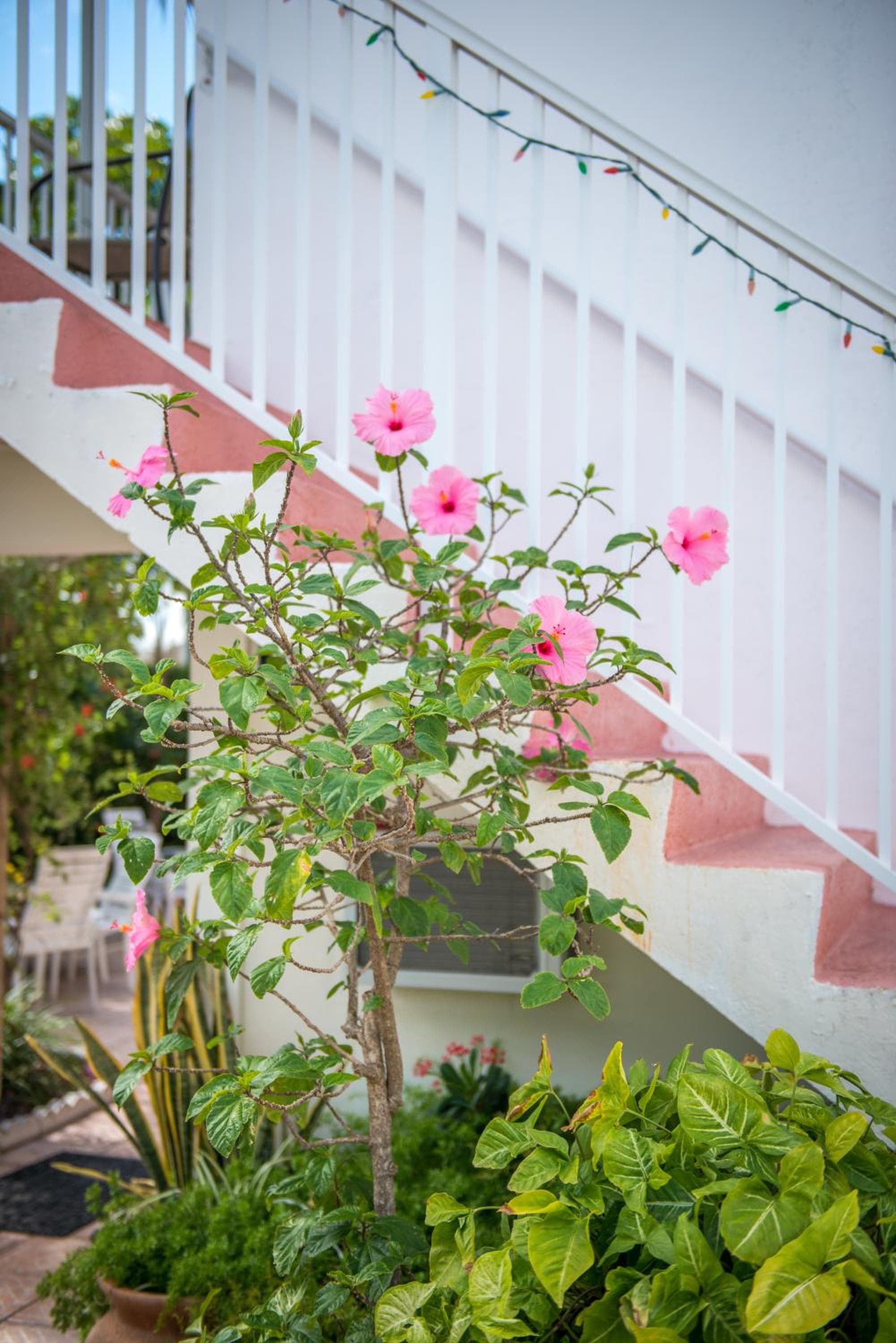 Hoteles en Shore Haven — 24