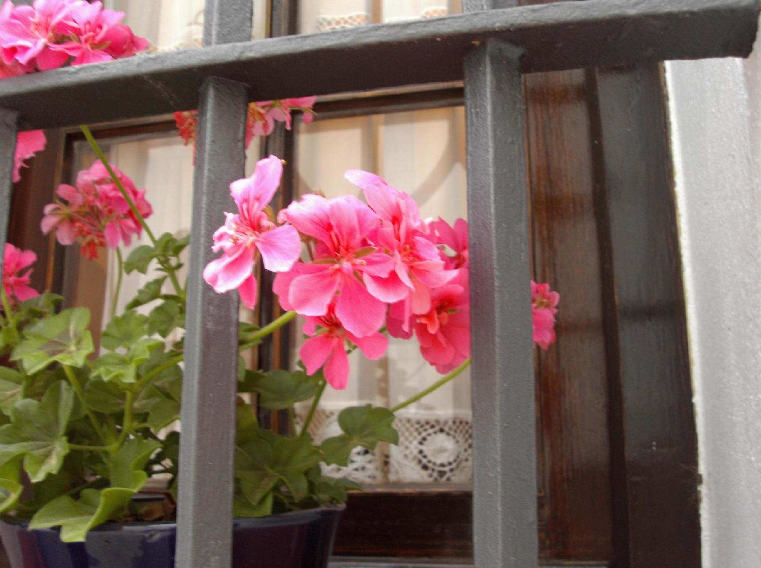 Hotel El Convento — 28