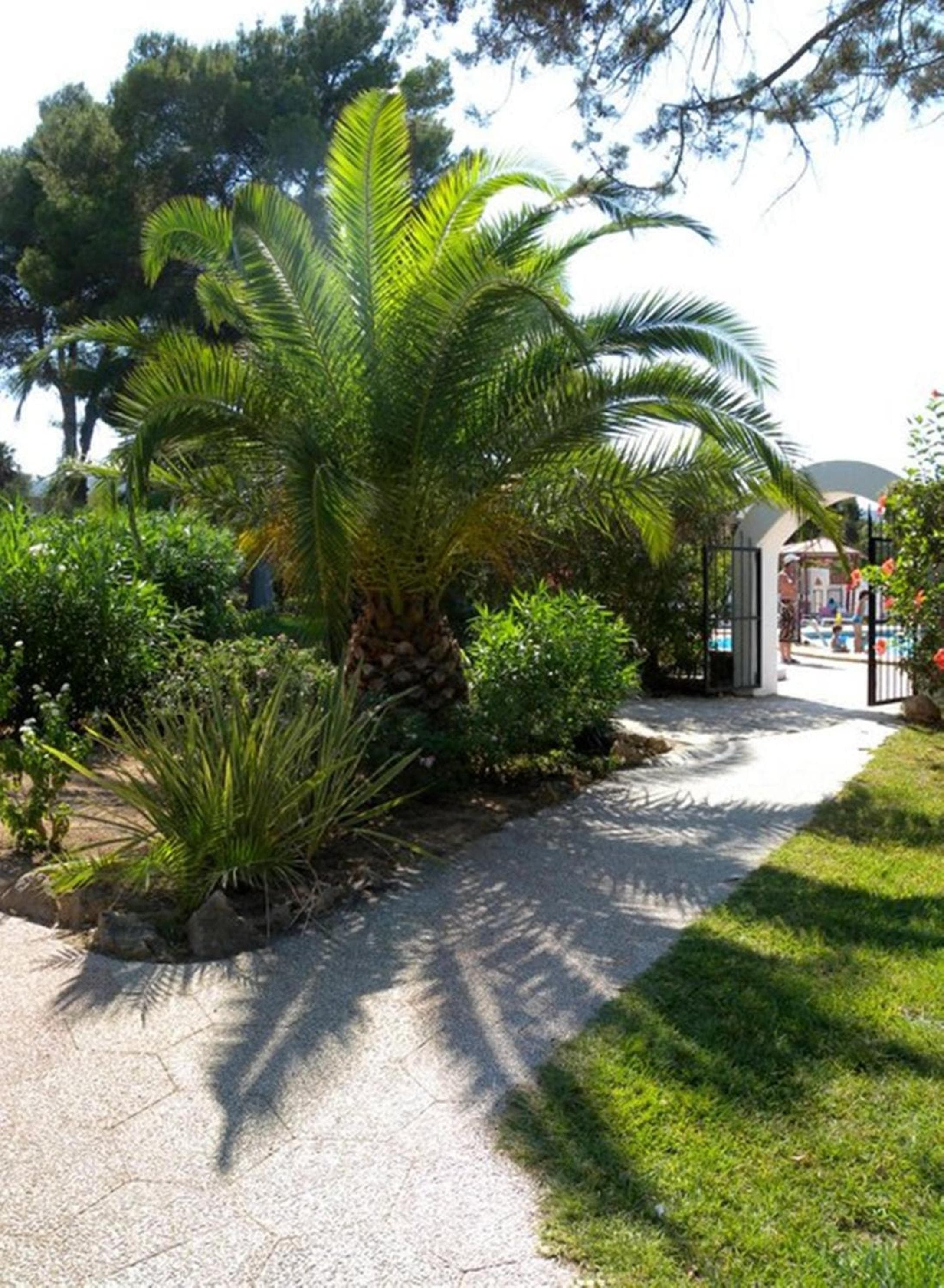 Siesta Mar Appartamenti Ibiza — 21
