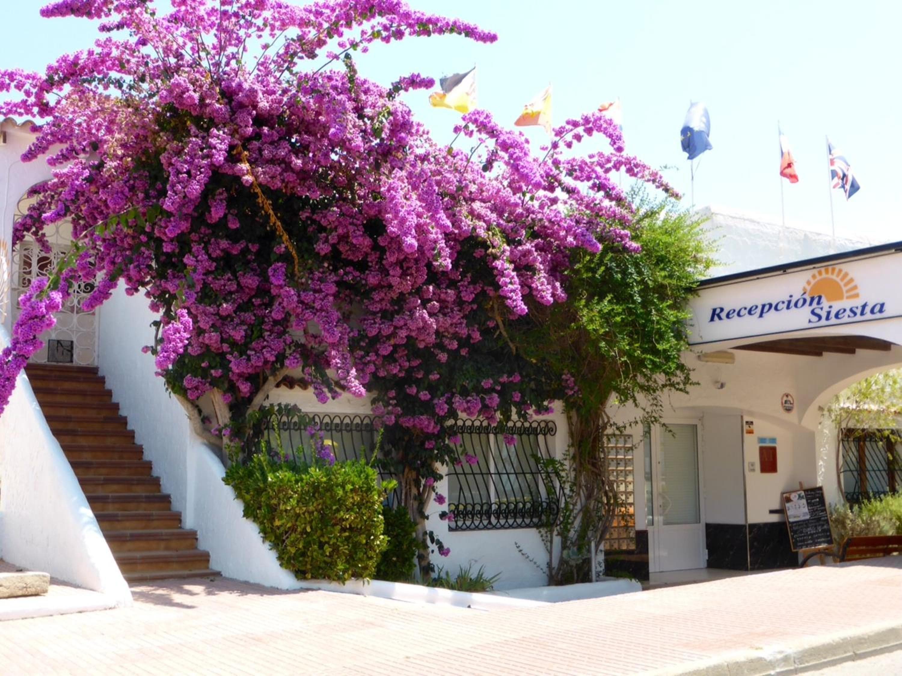 Siesta Mar Appartamenti Ibiza — 2