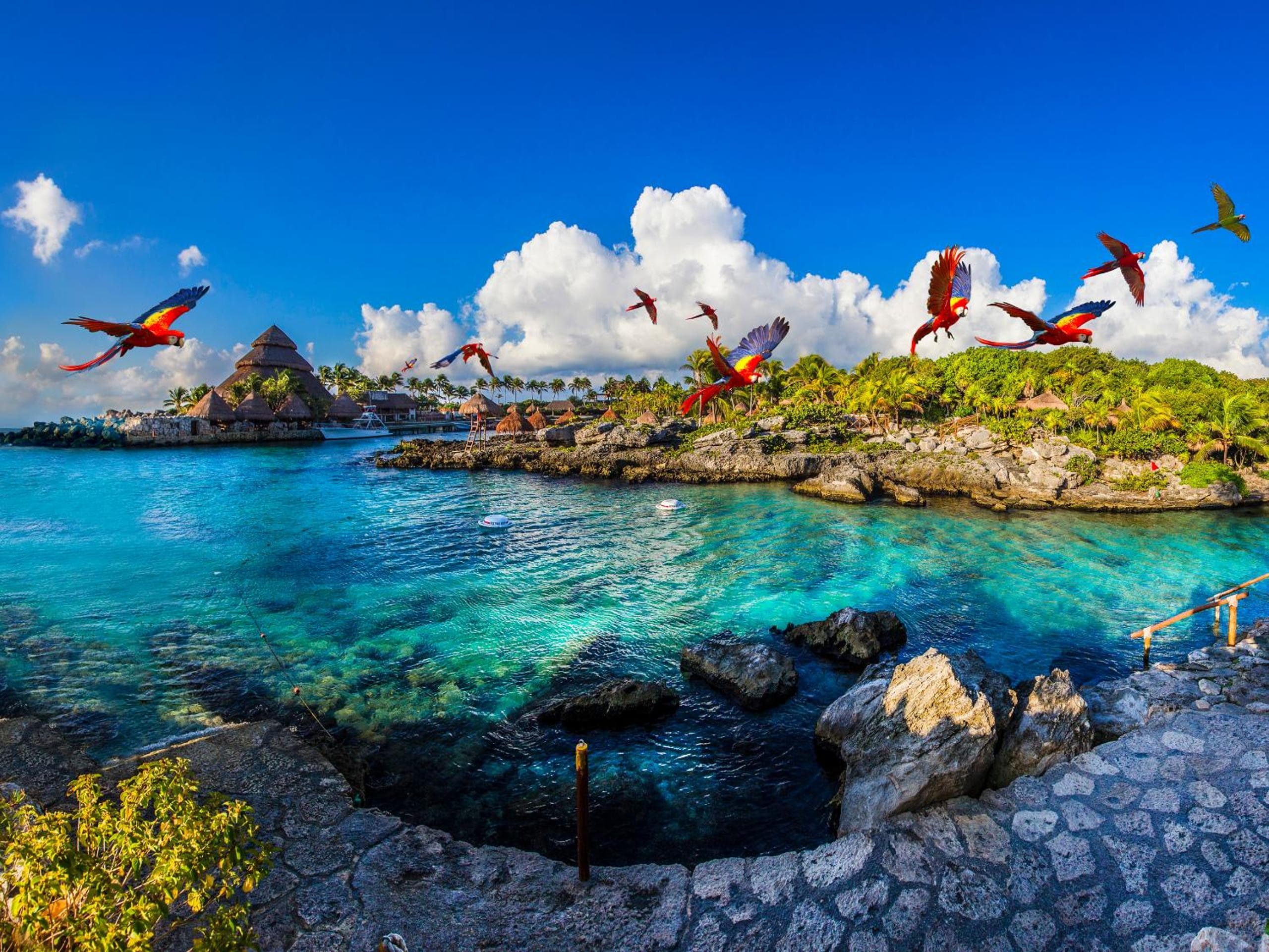 Occidental at Xcaret Destination - All Inclusive — 8