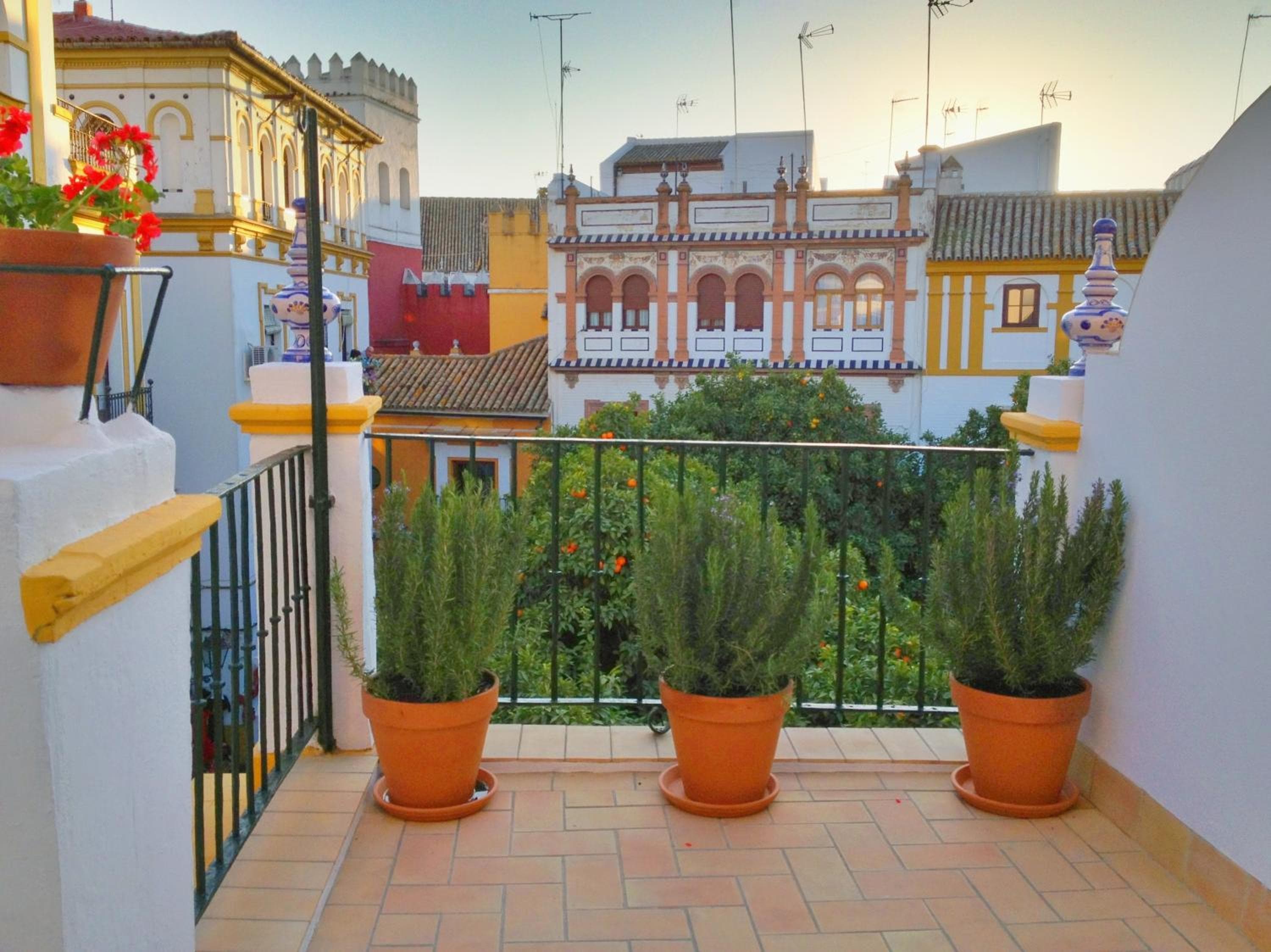 Hotel Boutique Elvira Plaza — 17