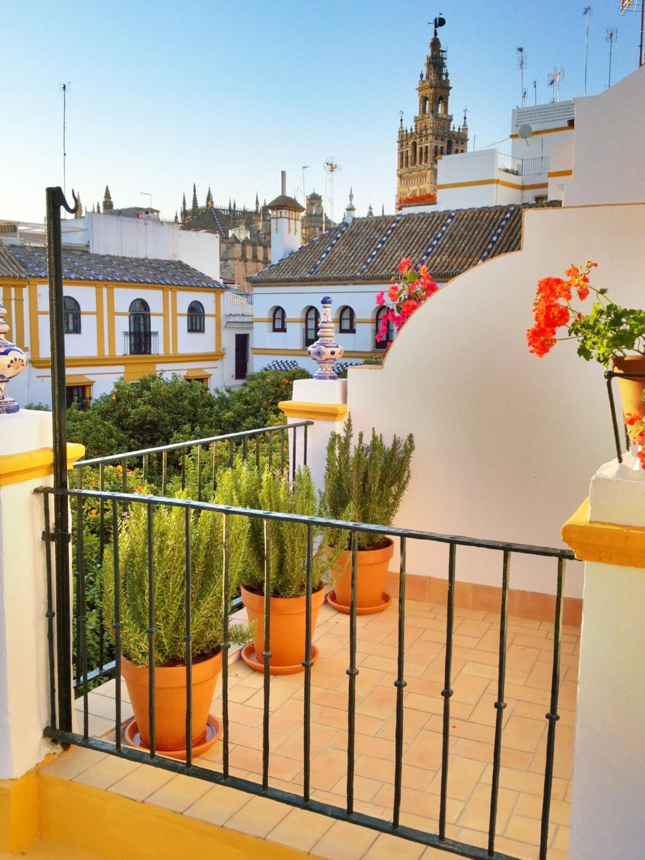 Hotel Boutique Elvira Plaza — 3