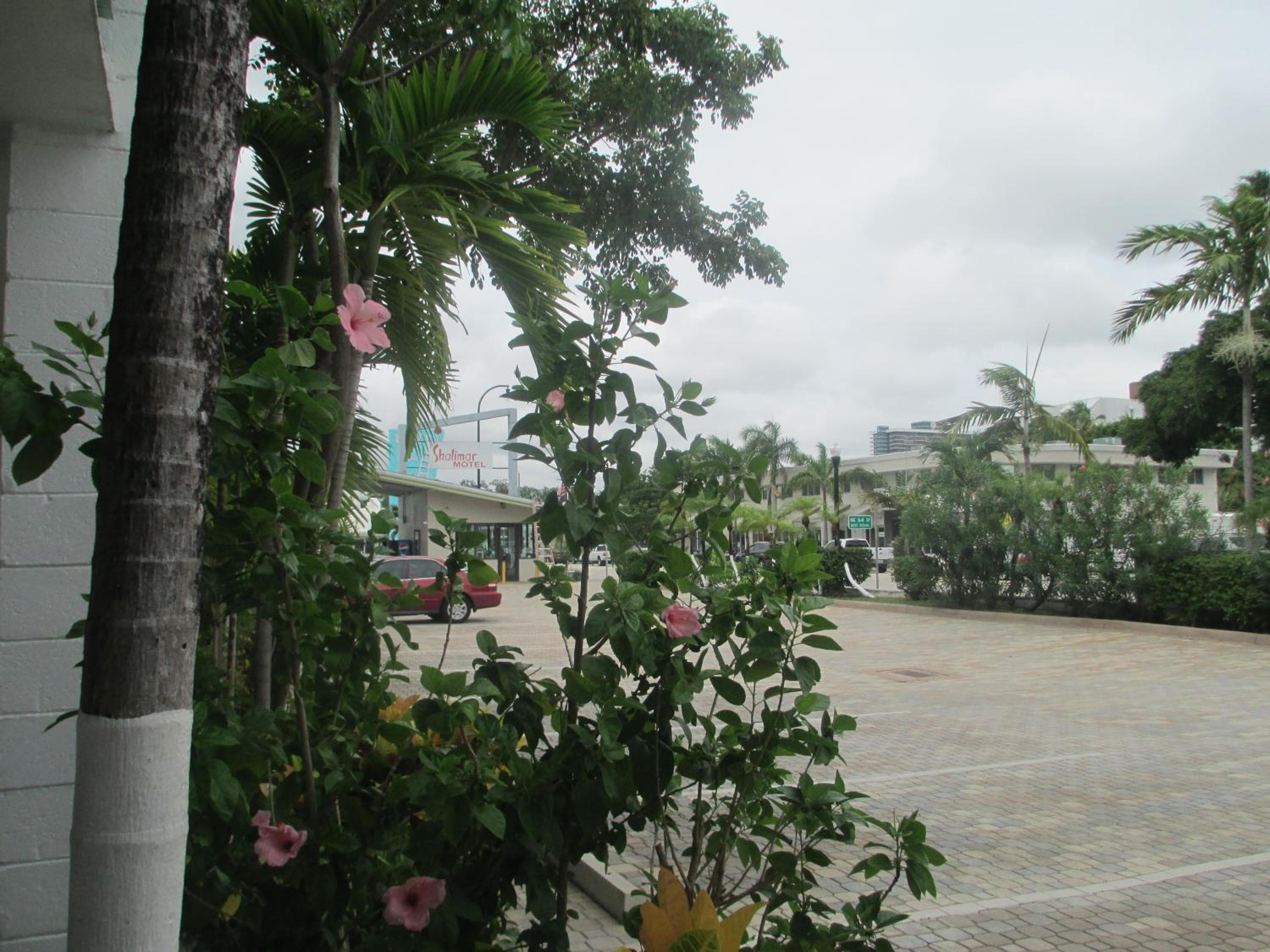 Shalimar Motel — 23