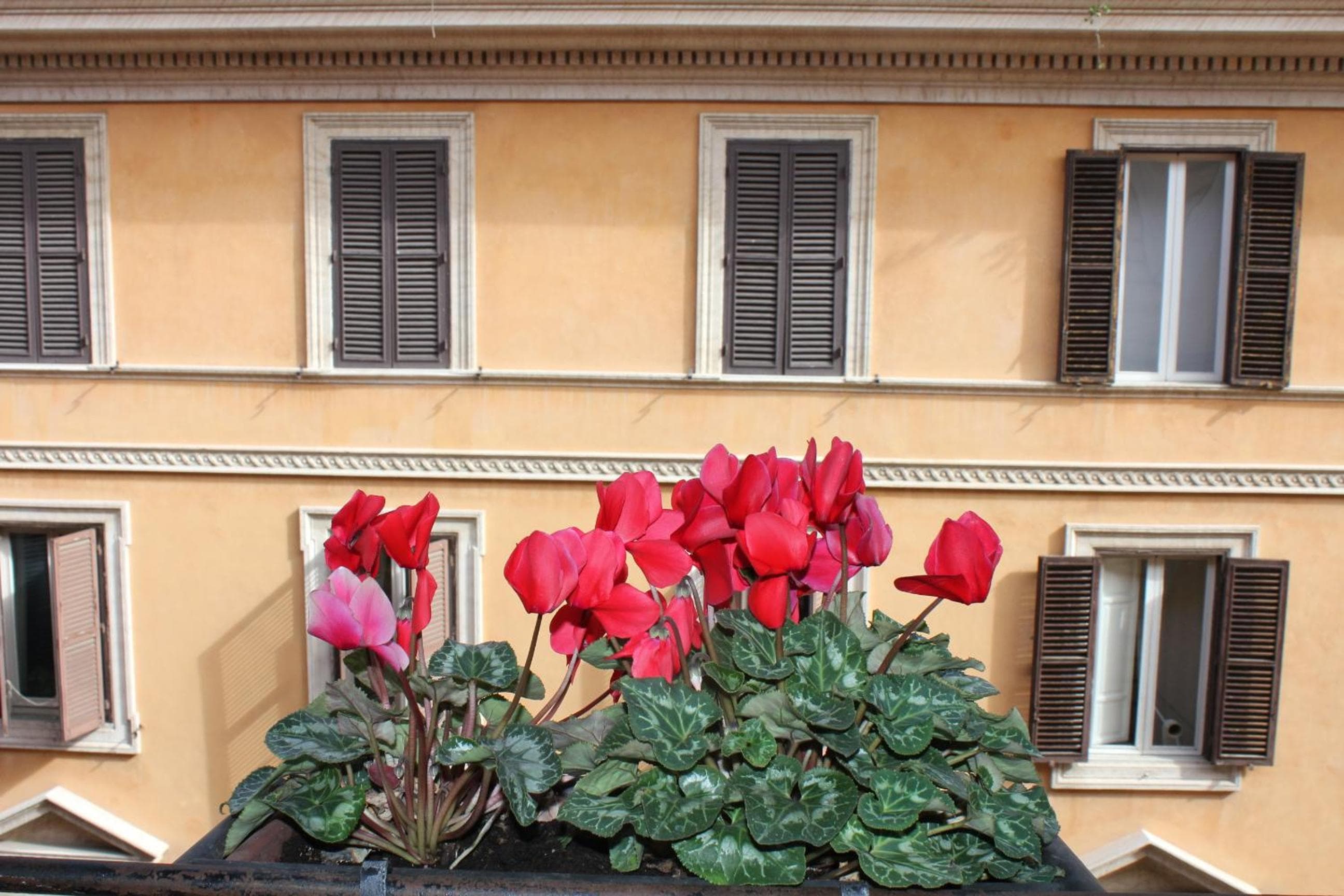 Hotel Garda — 3
