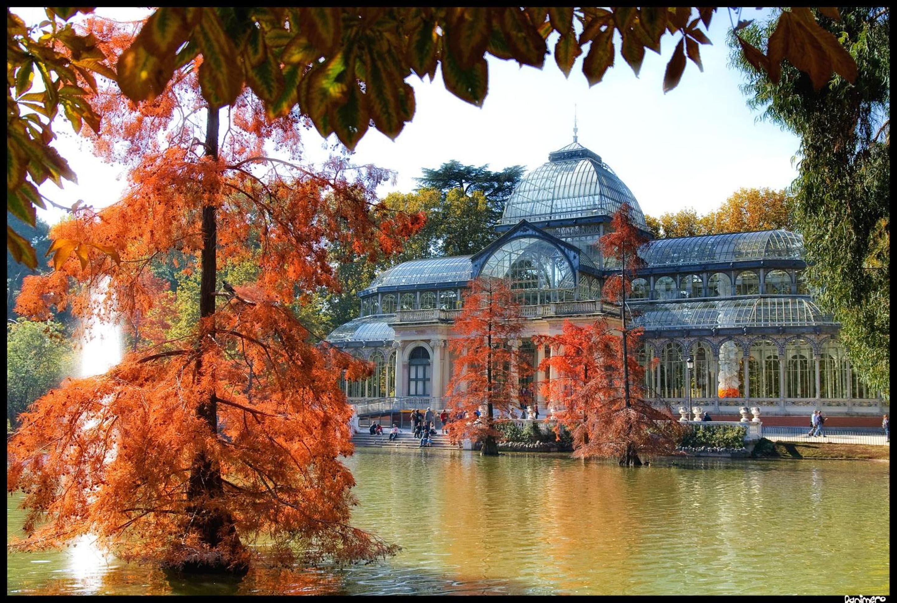 Hotel Regina hotel, Alcala, 19, Madrid, Spain — photo 45