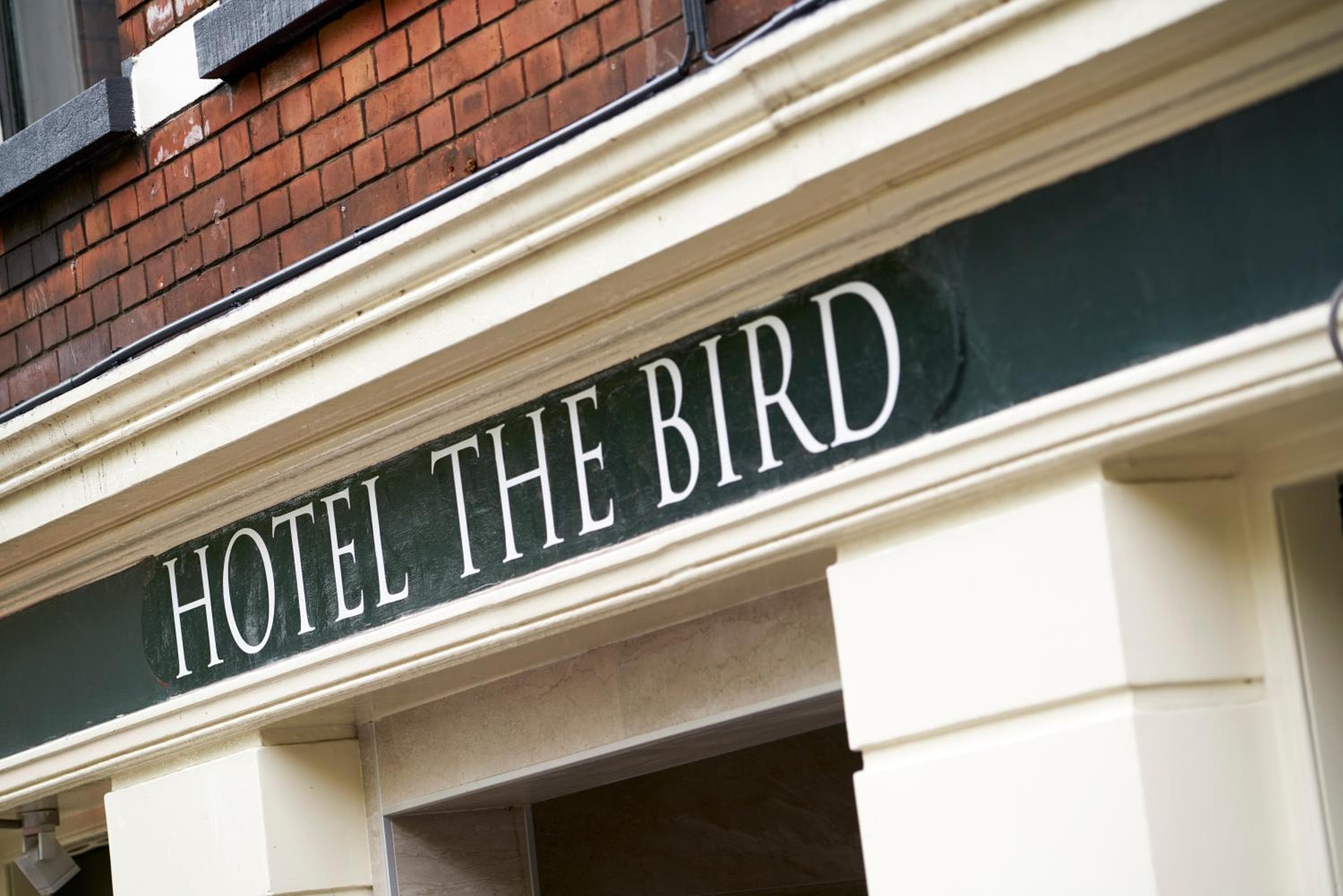 Hotel The Bird — 29