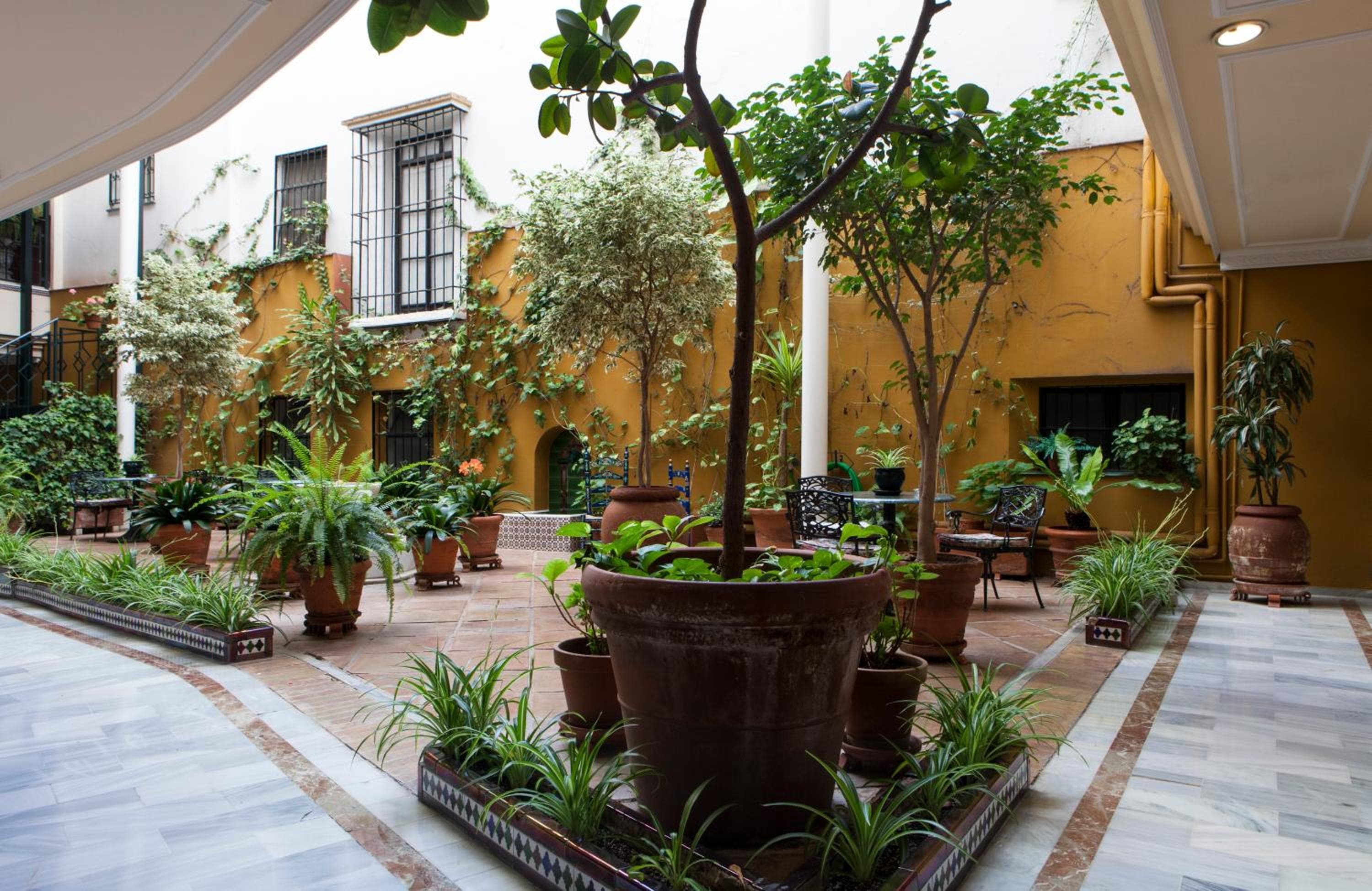 Hotel Cervantes — 29