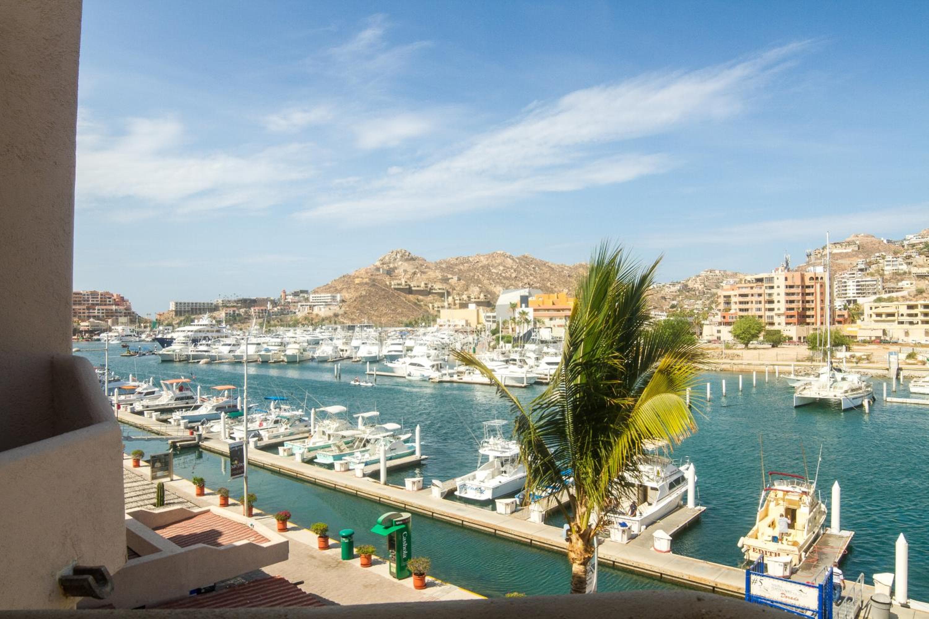Marina Cabo Plaza Town & Beach condomini — 8